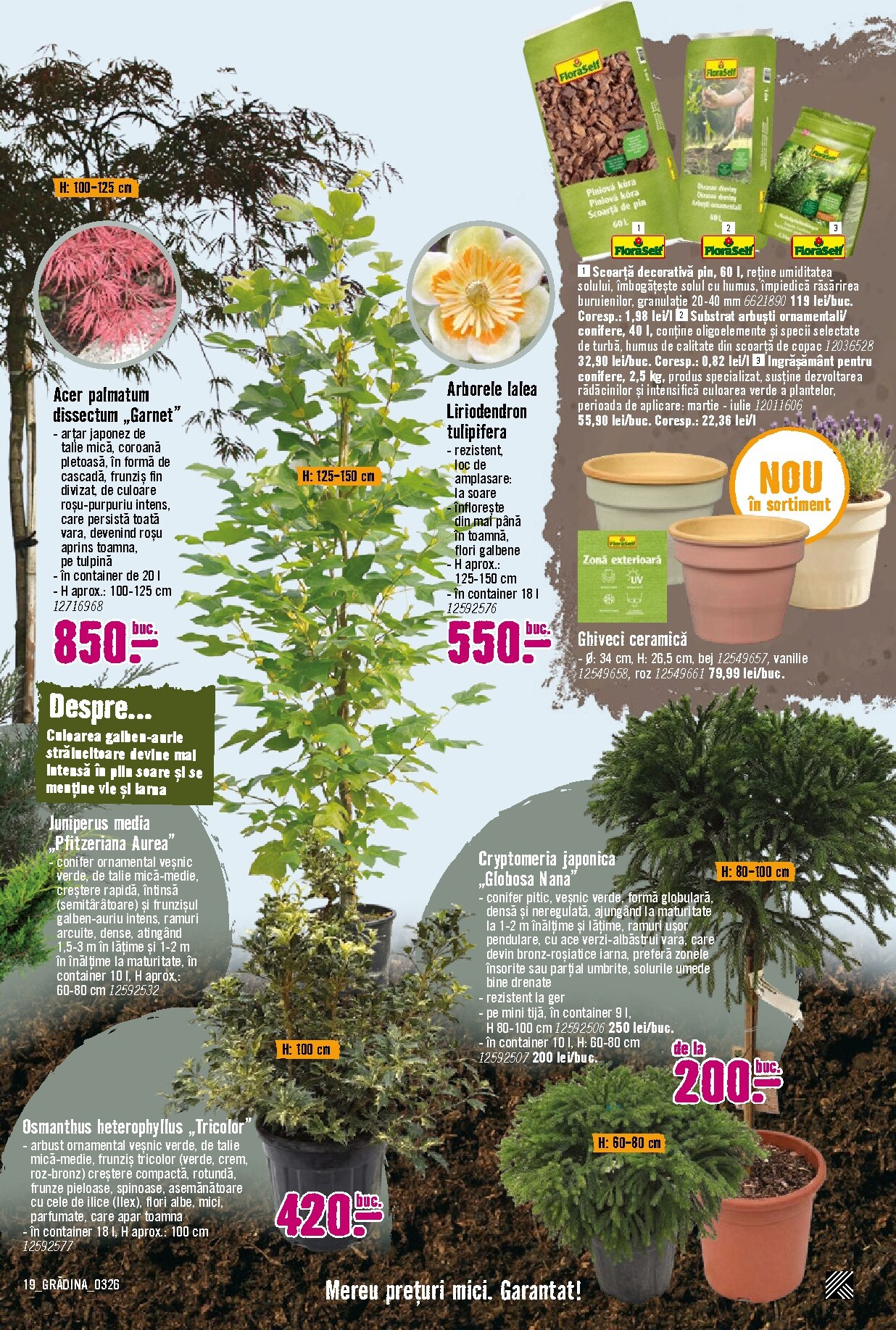 hornbach - Catalog Hornbach - Grădină online – oferte valabile din 23.03.2026 - page: 19