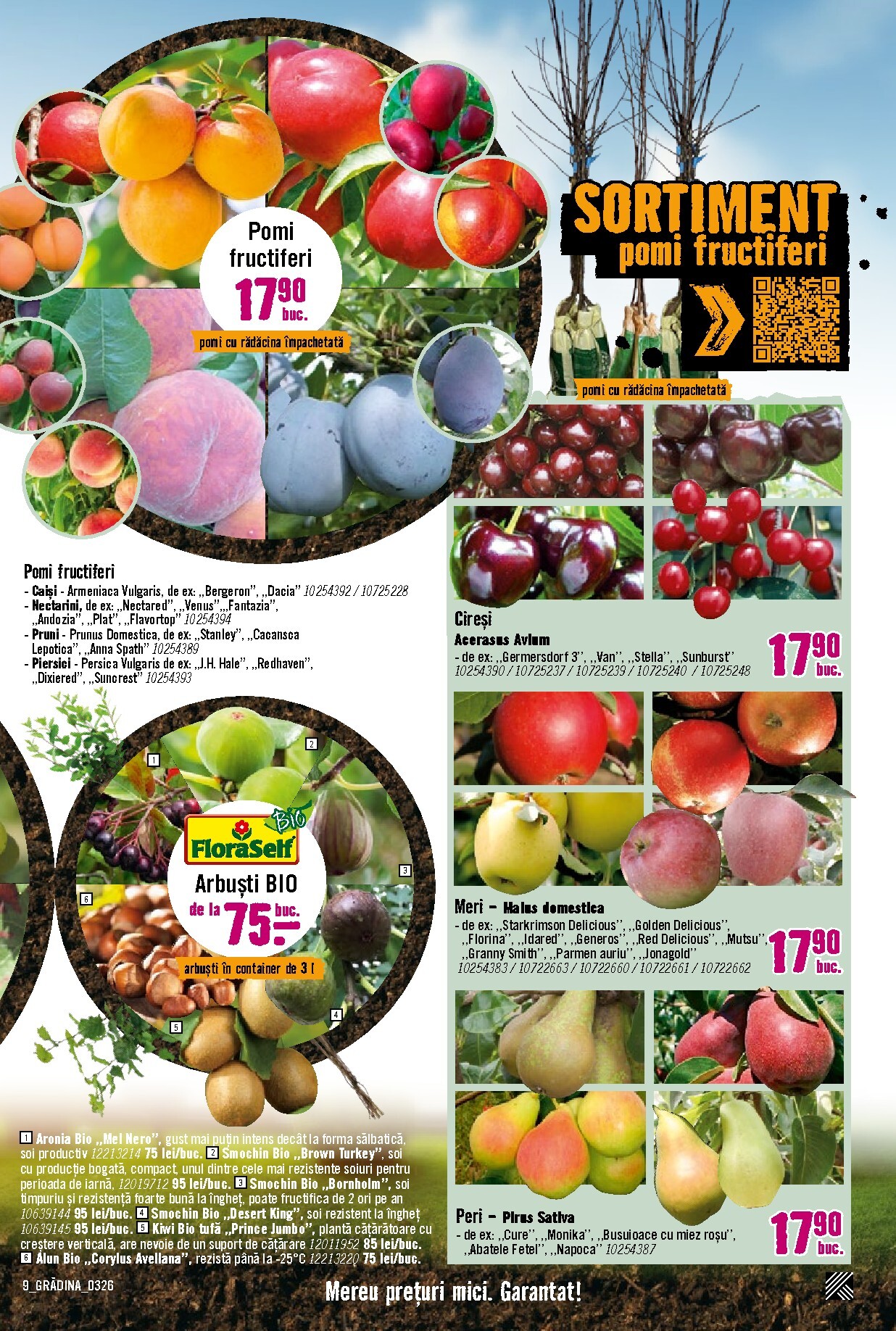 hornbach - Catalog Hornbach - Grădină online – oferte valabile din 23.03.2026 - page: 9