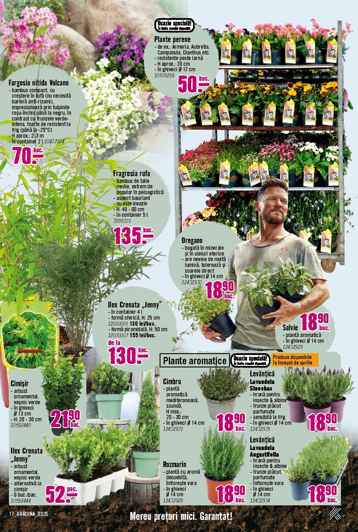 hornbach - Catalog Hornbach - Grădină online – oferte valabile din 23.03.2026 - page: 17