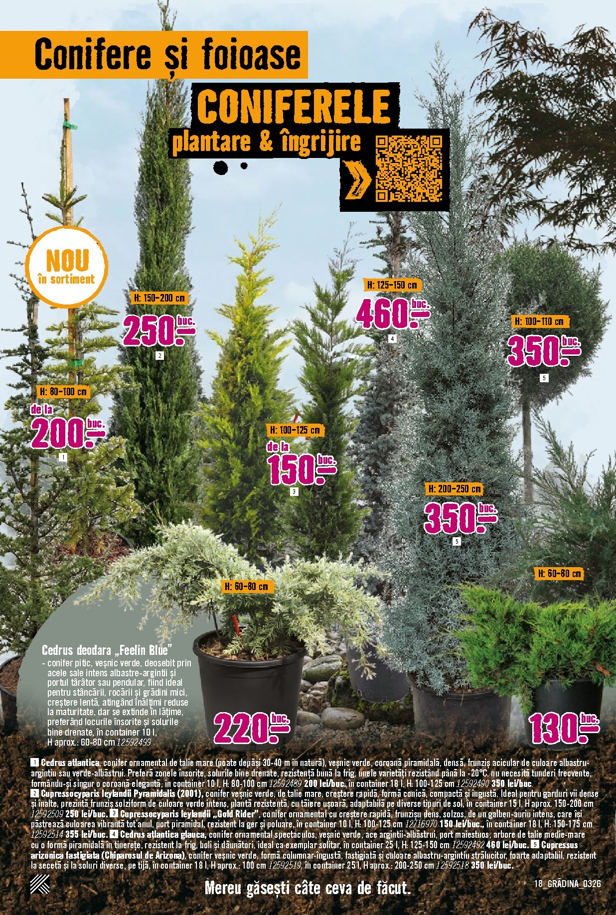 hornbach - Catalog Hornbach - Grădină online – oferte valabile din 23.03.2026 - page: 18