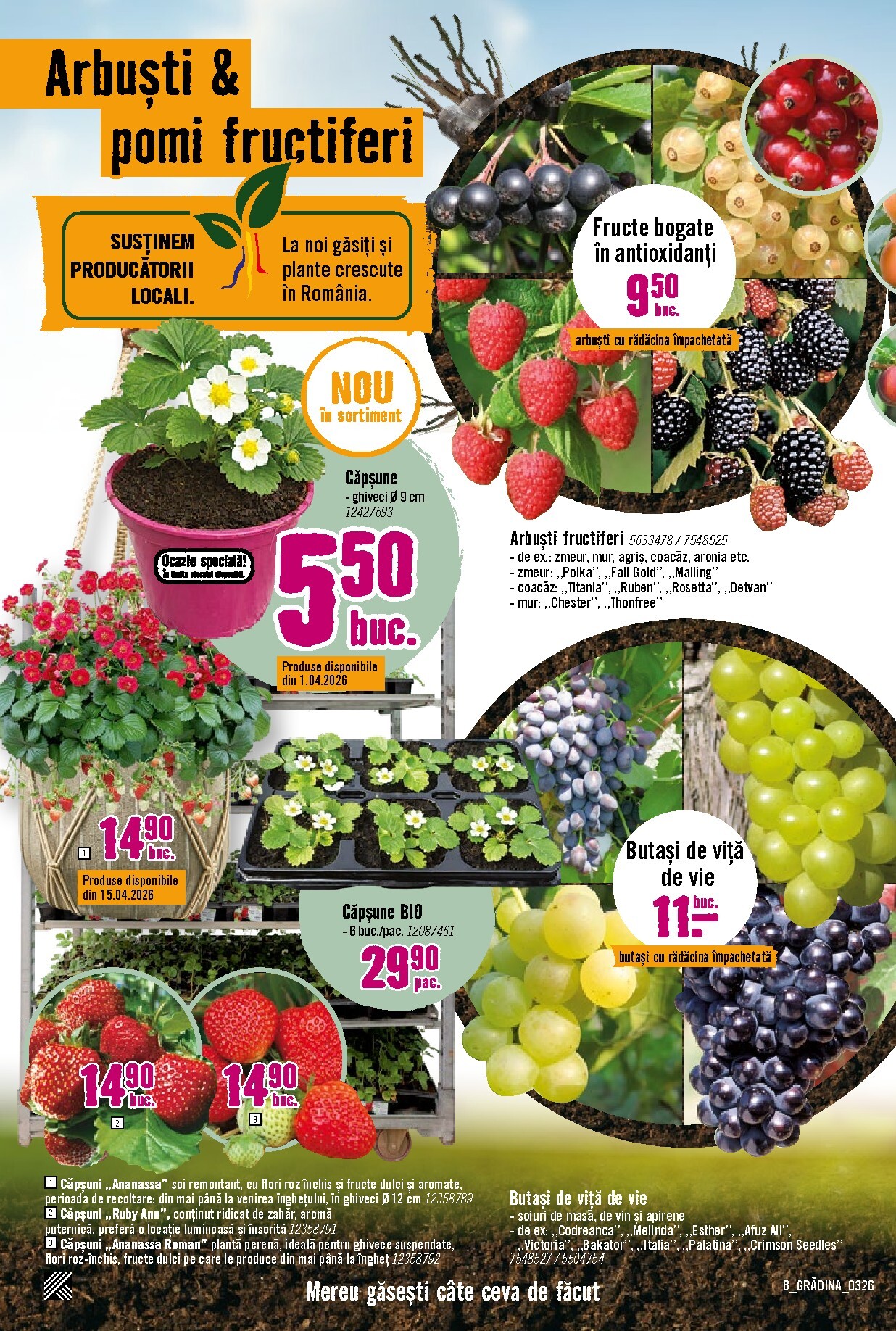 hornbach - Catalog Hornbach - Grădină online – oferte valabile din 23.03.2026 - page: 8