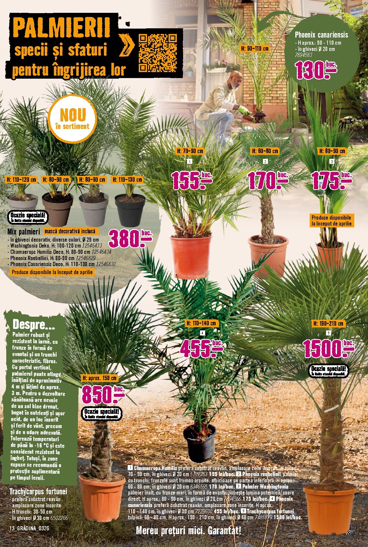 hornbach - Catalog Hornbach - Grădină online – oferte valabile din 23.03.2026 - page: 13