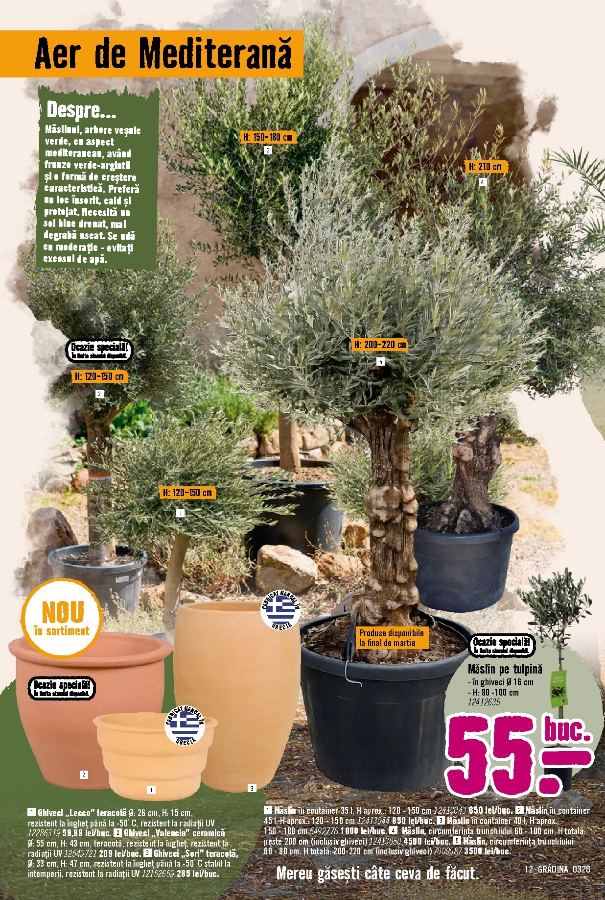 hornbach - Catalog Hornbach - Grădină online – oferte valabile din 23.03.2026 - page: 12