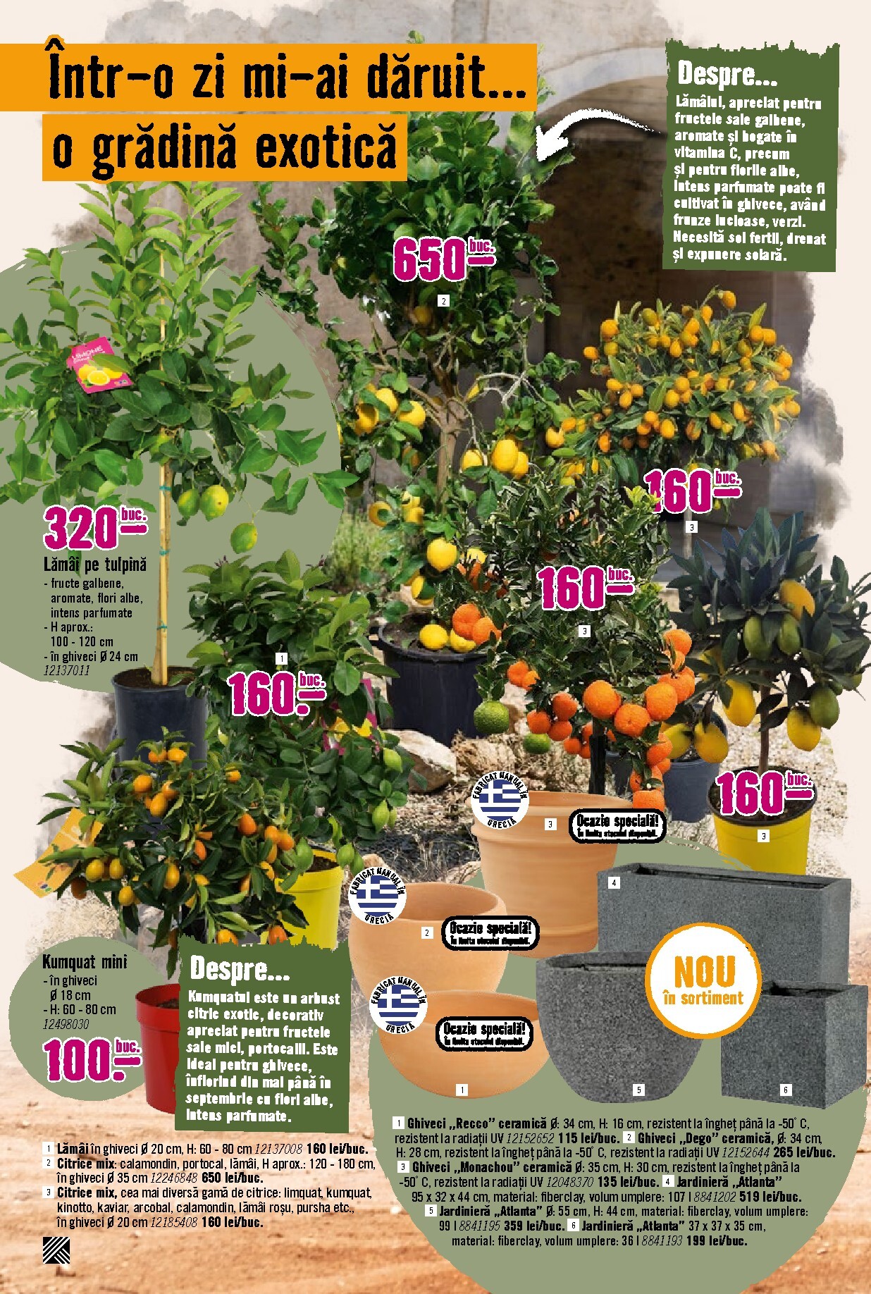 hornbach - Catalog Hornbach - Grădină online – oferte valabile din 23.03.2026 - page: 14