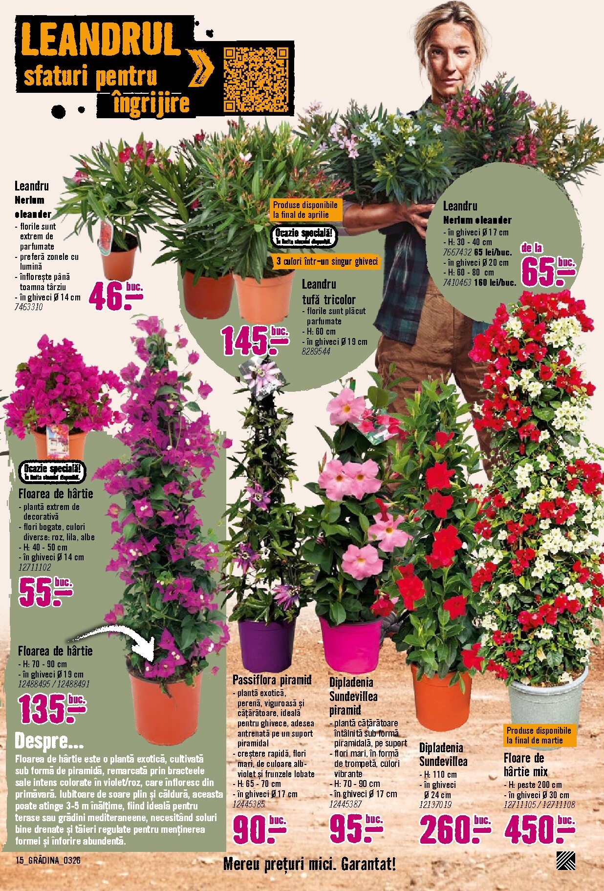 hornbach - Catalog Hornbach - Grădină online – oferte valabile din 23.03.2026 - page: 15