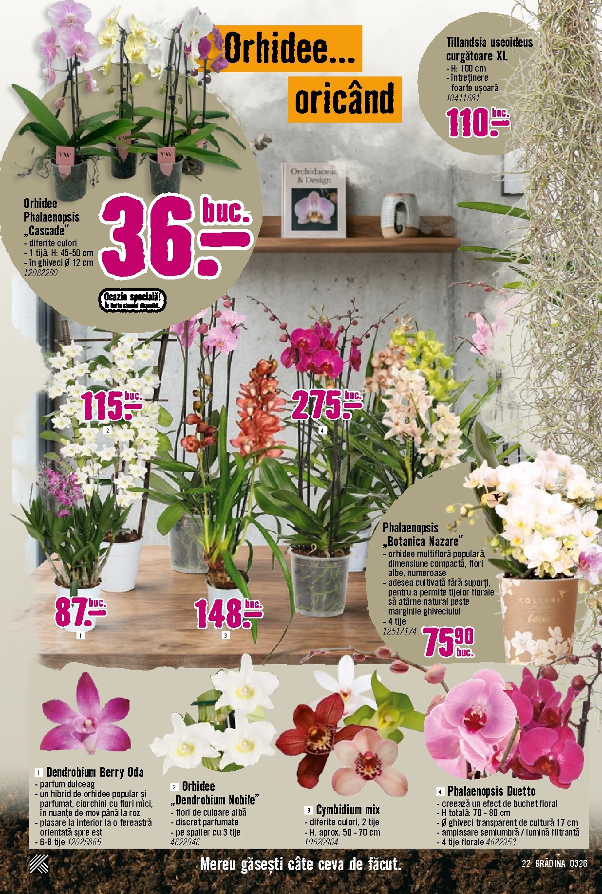 hornbach - Catalog Hornbach - Grădină online – oferte valabile din 23.03.2026 - page: 22