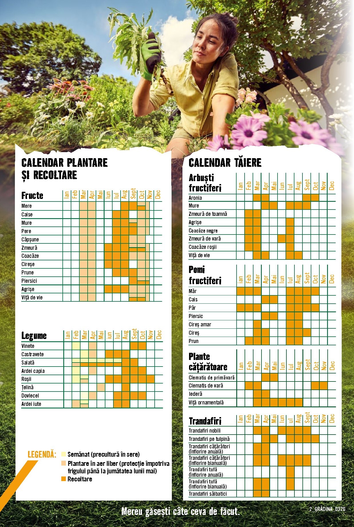 hornbach - Catalog Hornbach - Grădină online – oferte valabile din 23.03.2026 - page: 2