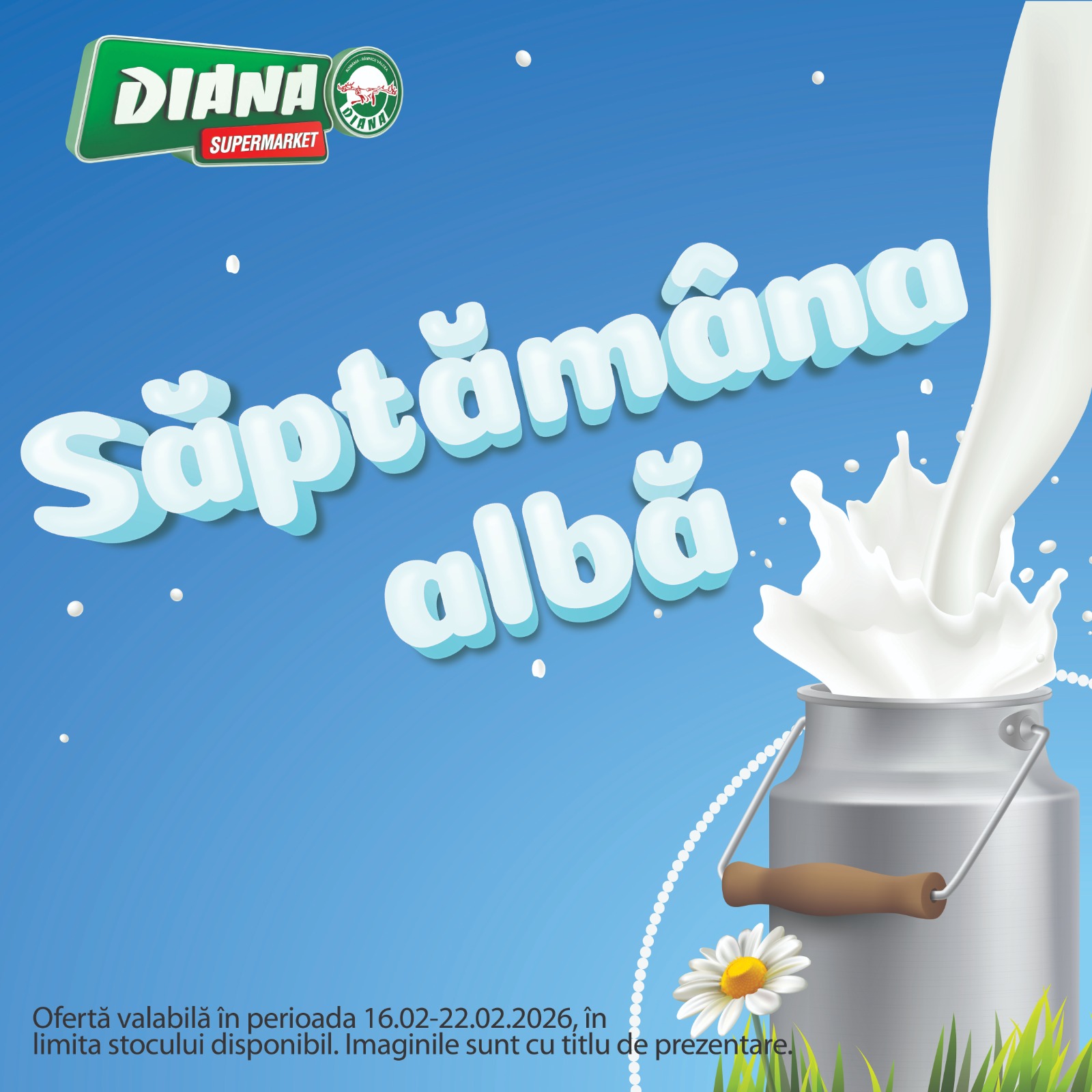 diana - Catalog Diana - Super Ofertă online – oferte valabile din 16.02.2026