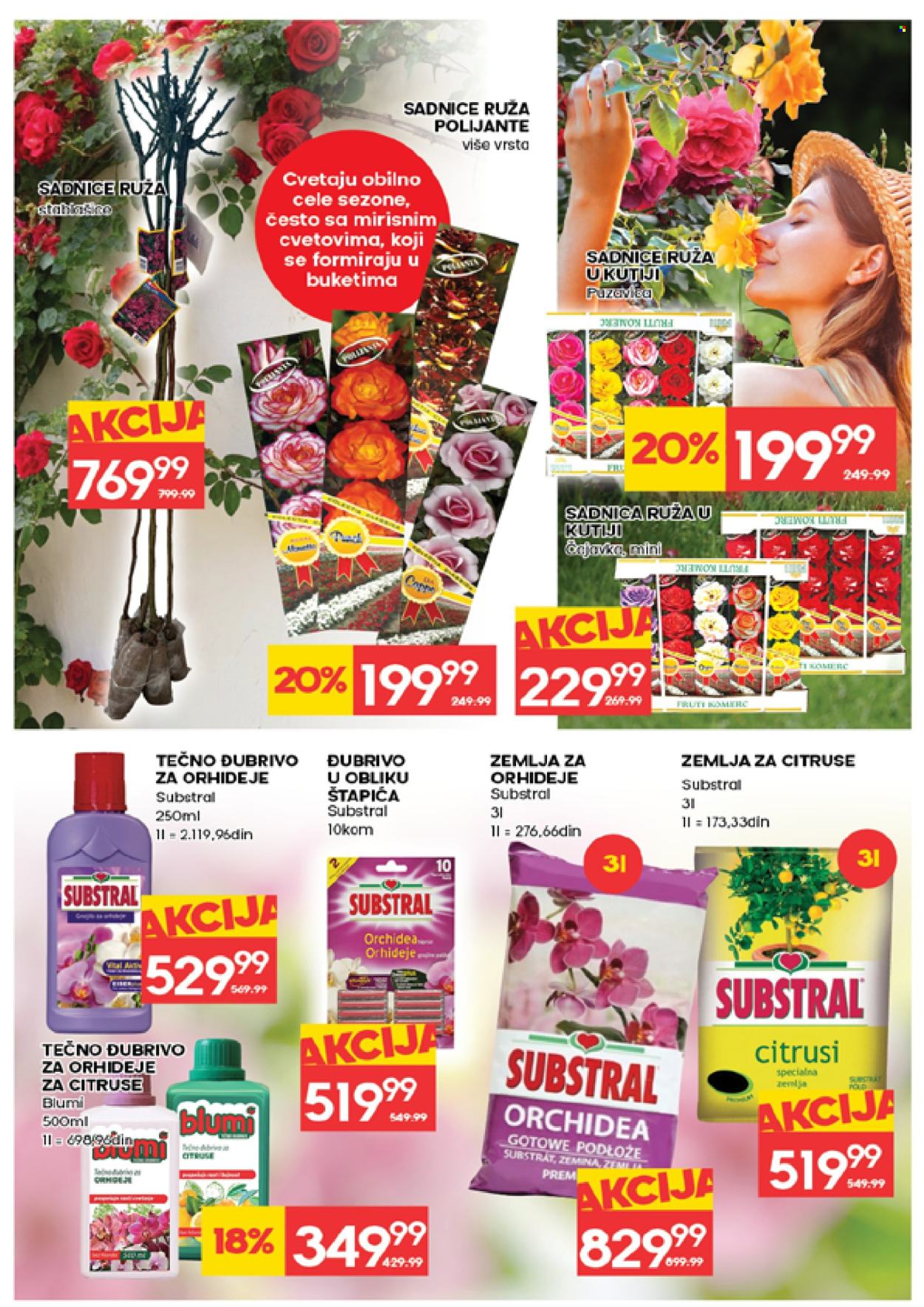 roda - Roda katalog - 12.03.-18.03.2026 - page: 31