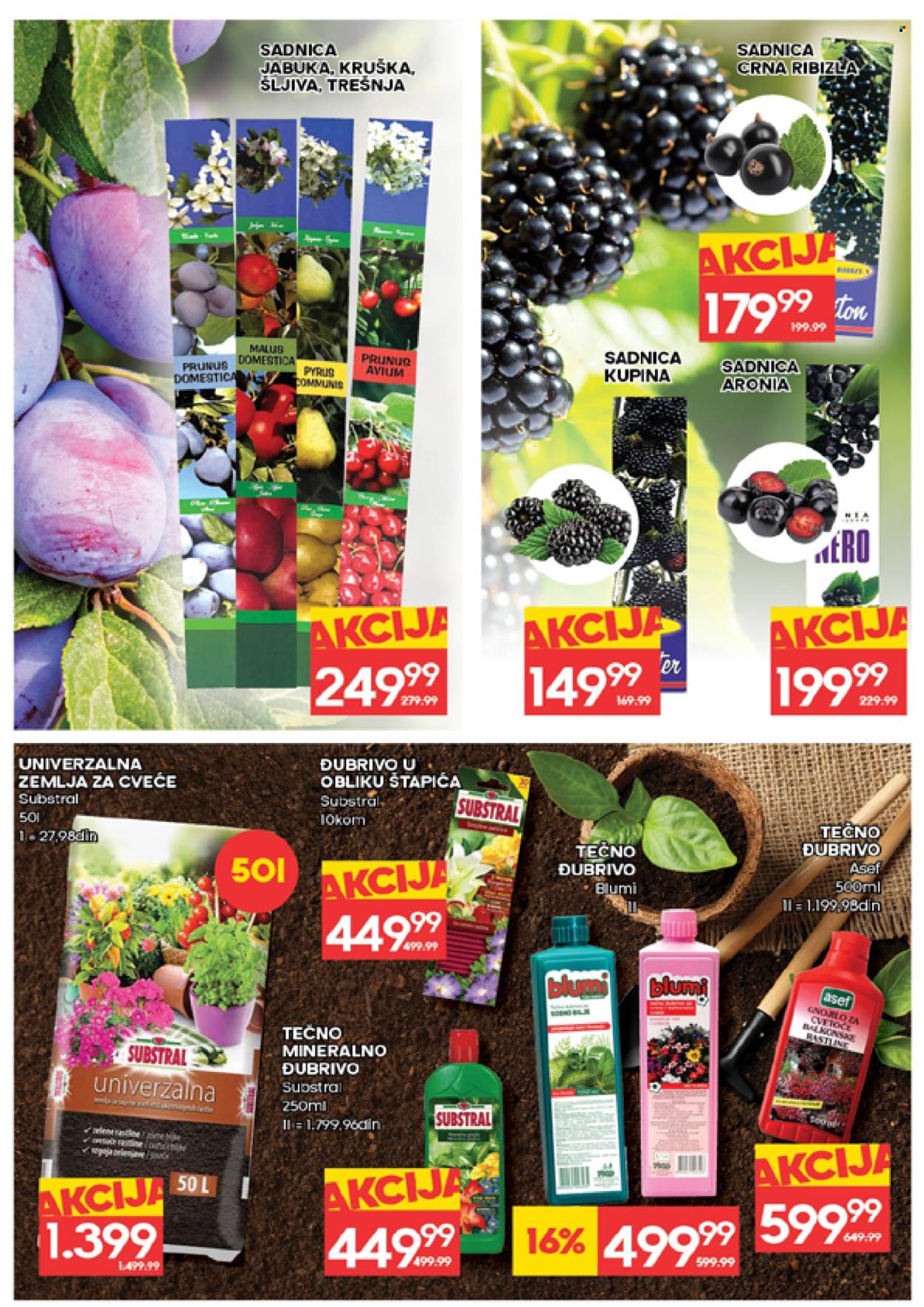 roda - Roda katalog - 12.03.-18.03.2026 - page: 30