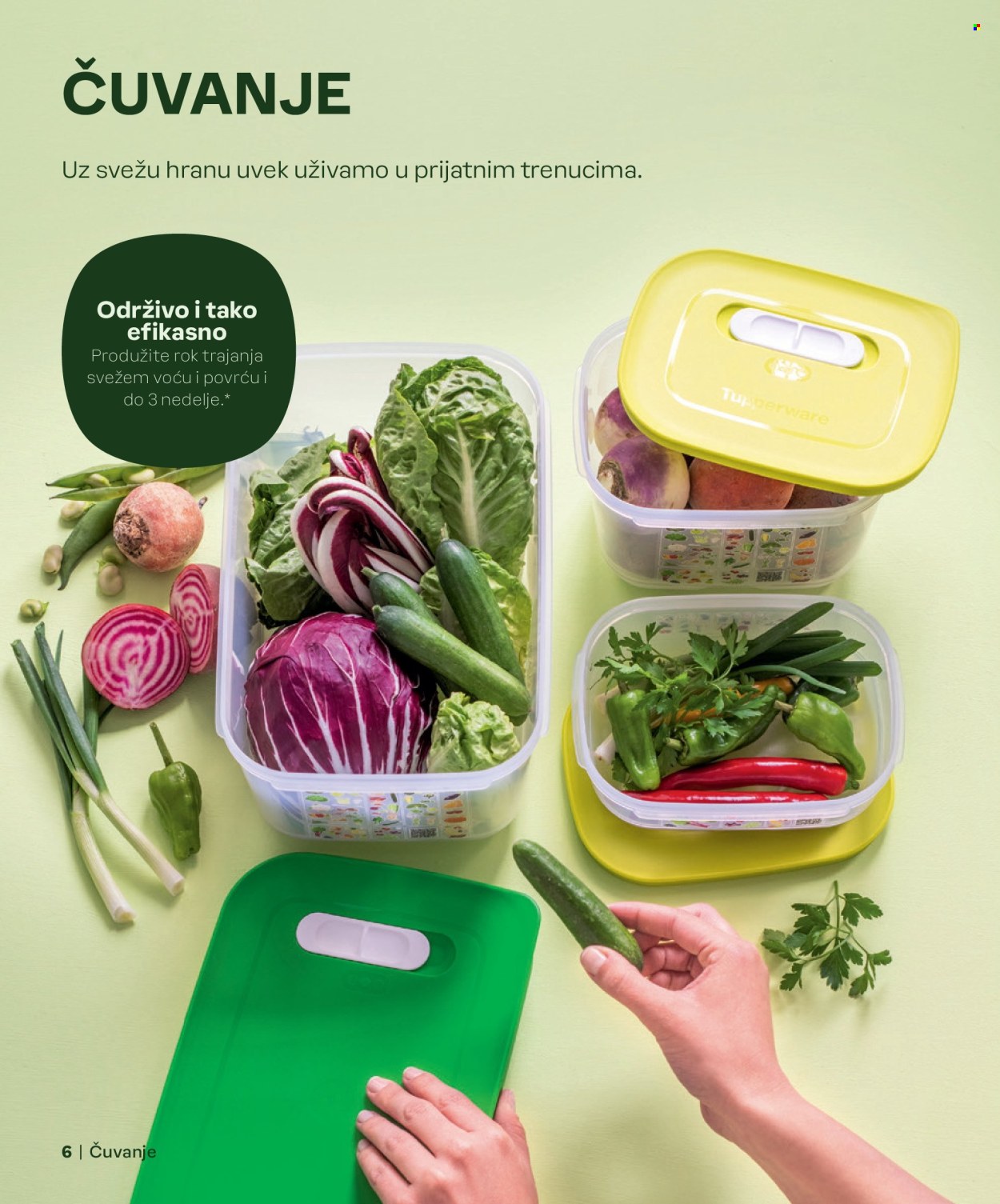 tupperware - Tupperware katalog maj 2024 - strana 1 - page: 6 tupperware - Tupperware katalog maj 2024 - strana 1 - page: 6