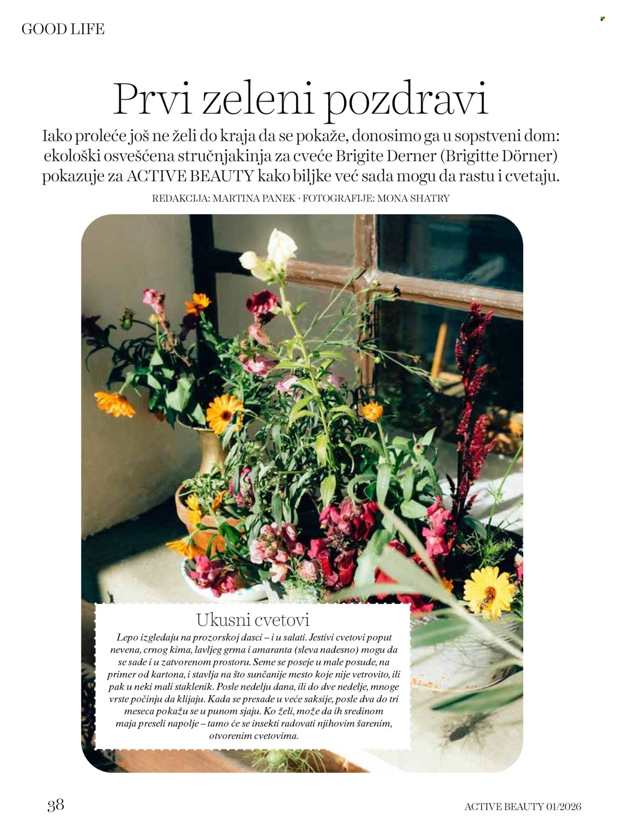 dm-drogerie - dm drogerie katalog april 2026 - page: 38