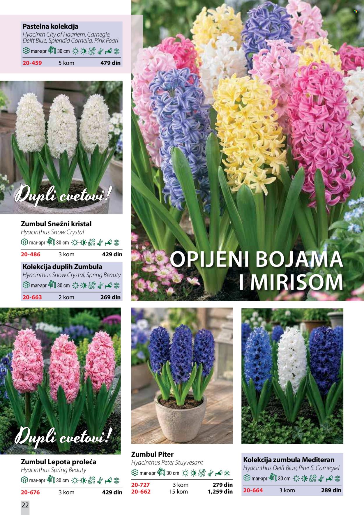flora-ekspres - Flora Ekspres katalog oktobar 2026 - page: 22