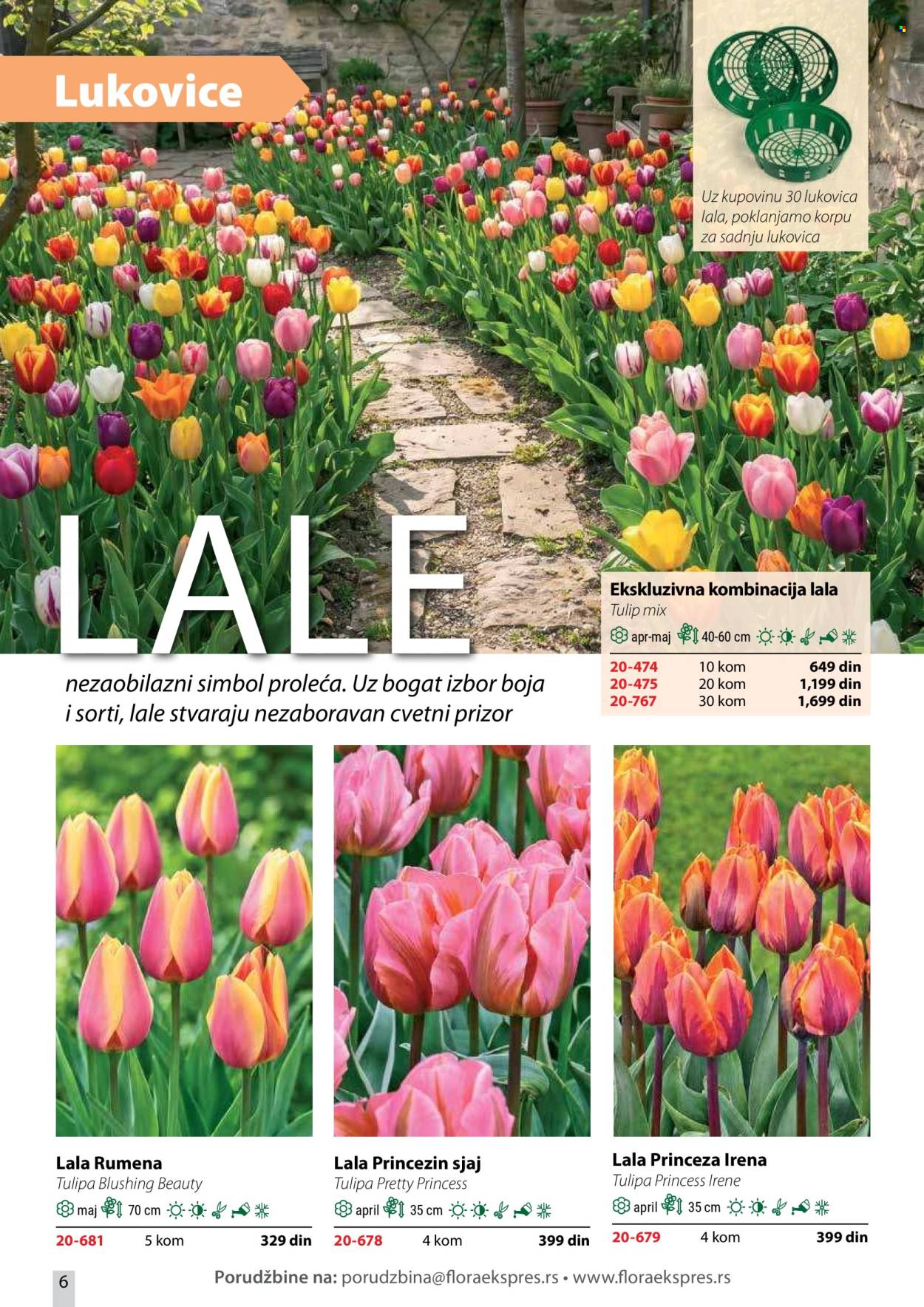 flora-ekspres - Flora Ekspres katalog oktobar 2026 - page: 6