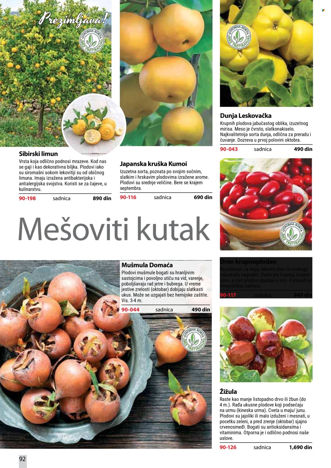 flora-ekspres - Flora Ekspres katalog oktobar 2026 - page: 92