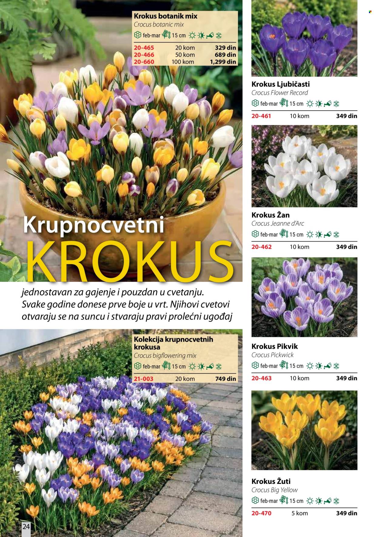 flora-ekspres - Flora Ekspres katalog oktobar 2026 - page: 24