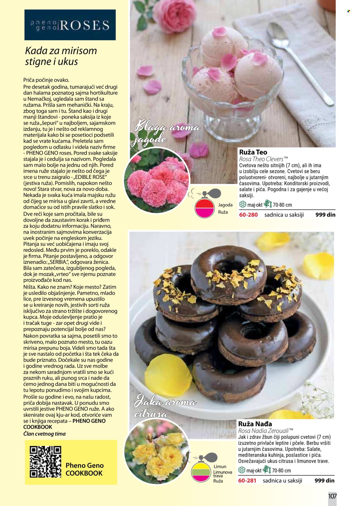 flora-ekspres - Flora Ekspres katalog oktobar 2026 - page: 107
