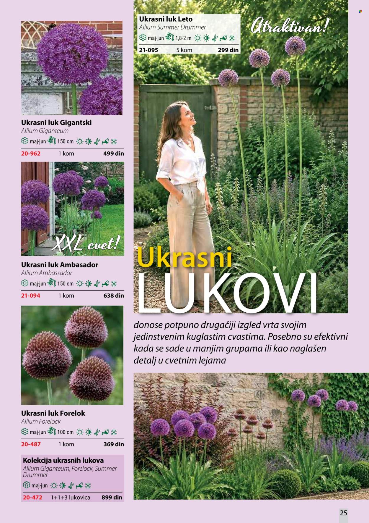 flora-ekspres - Flora Ekspres katalog oktobar 2026 - page: 25