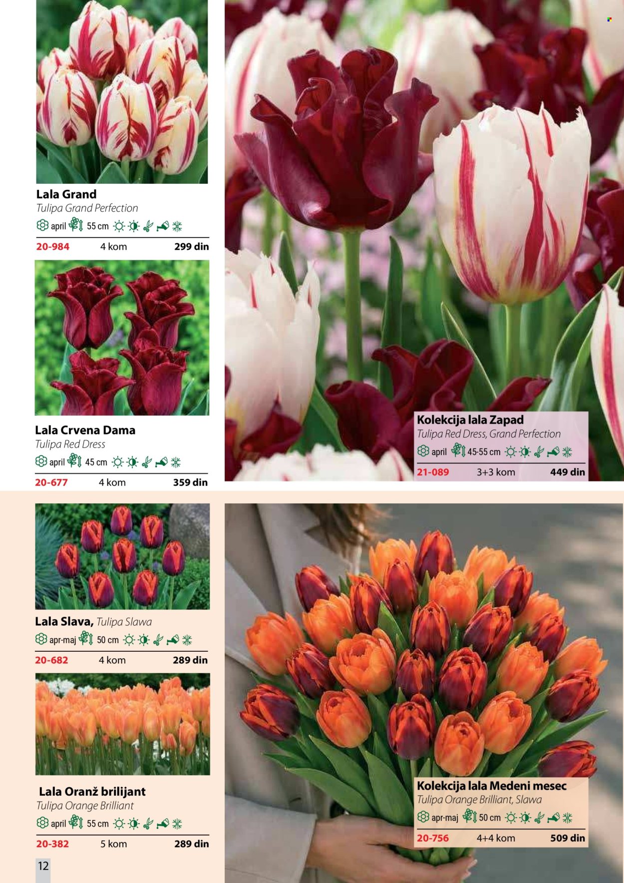 flora-ekspres - Flora Ekspres katalog oktobar 2026 - page: 12