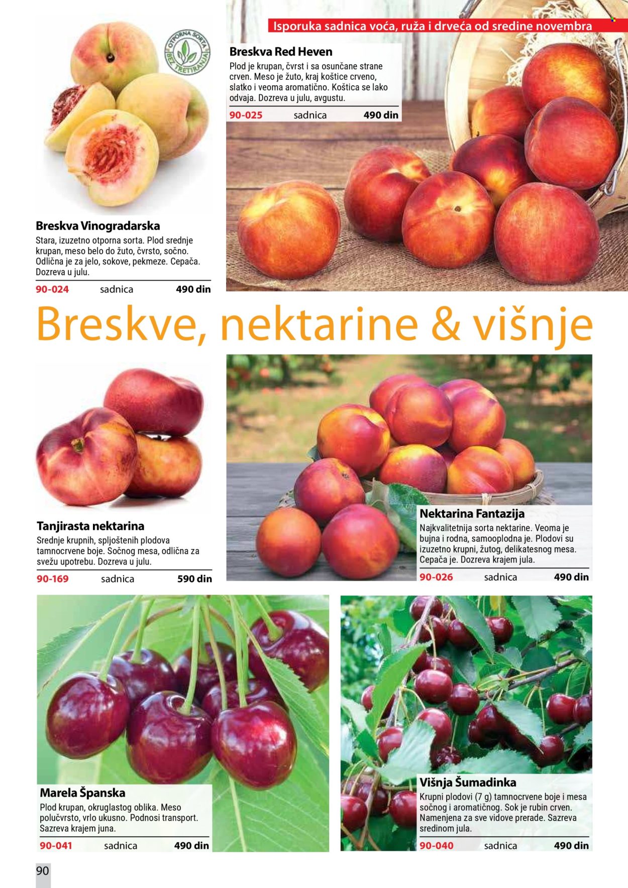 flora-ekspres - Flora Ekspres katalog oktobar 2026 - page: 90