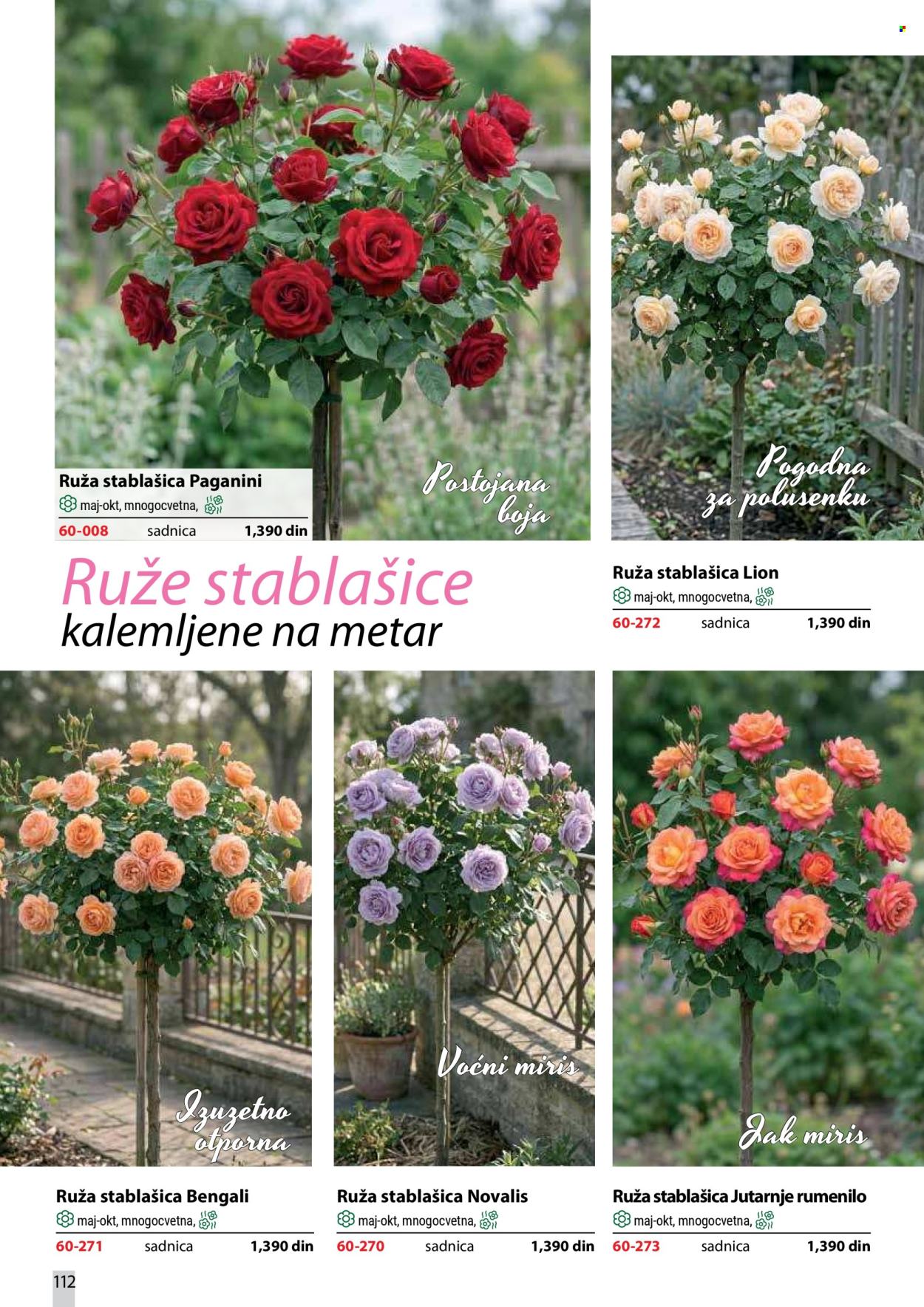 flora-ekspres - Flora Ekspres katalog oktobar 2026 - page: 112