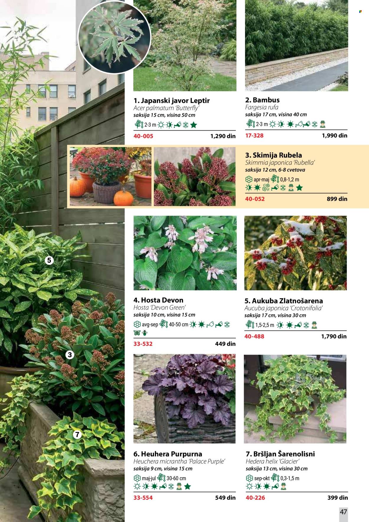 flora-ekspres - Flora Ekspres katalog oktobar 2026 - page: 47