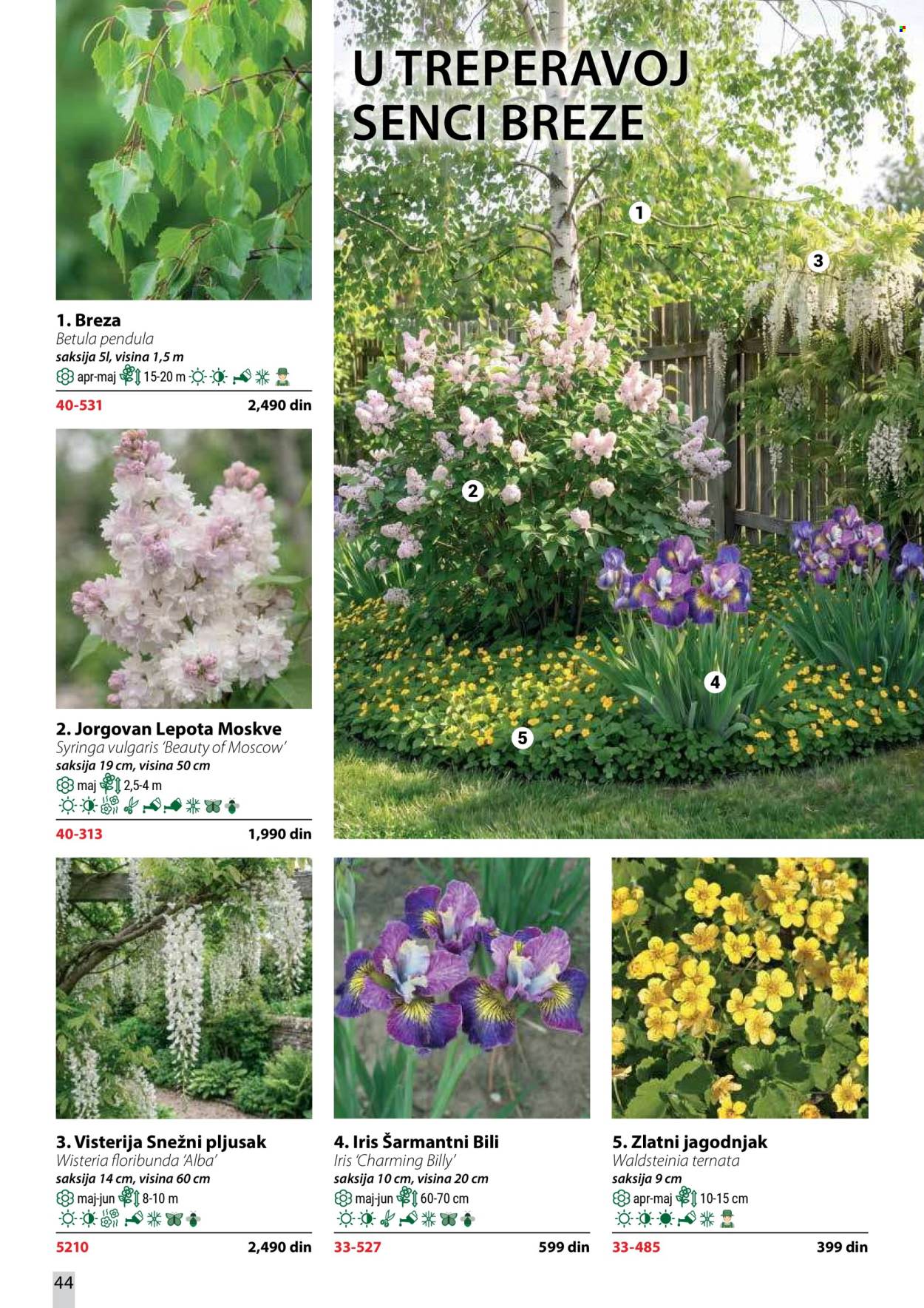 flora-ekspres - Flora Ekspres katalog oktobar 2026 - page: 44