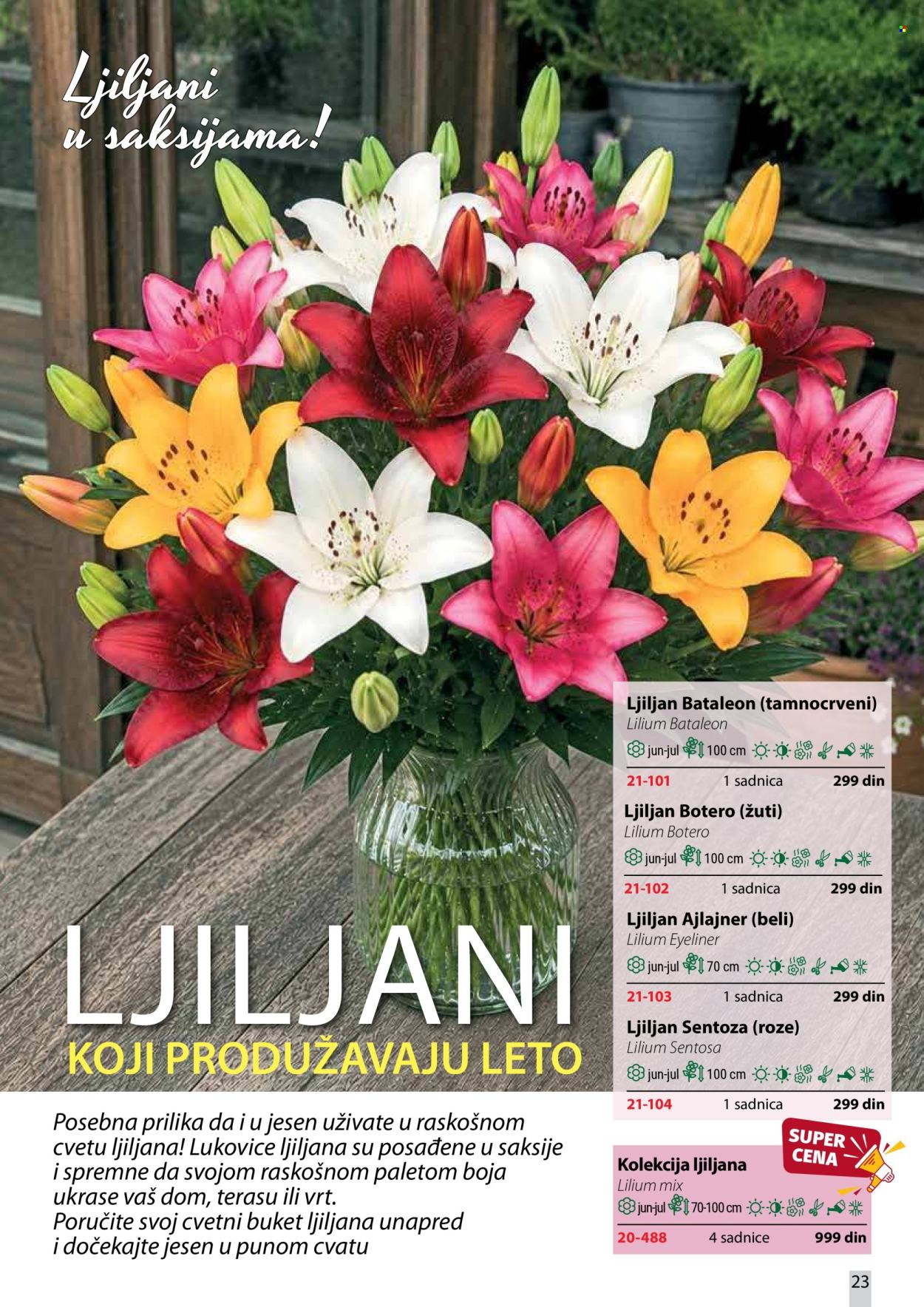 flora-ekspres - Flora Ekspres katalog oktobar 2026 - page: 23