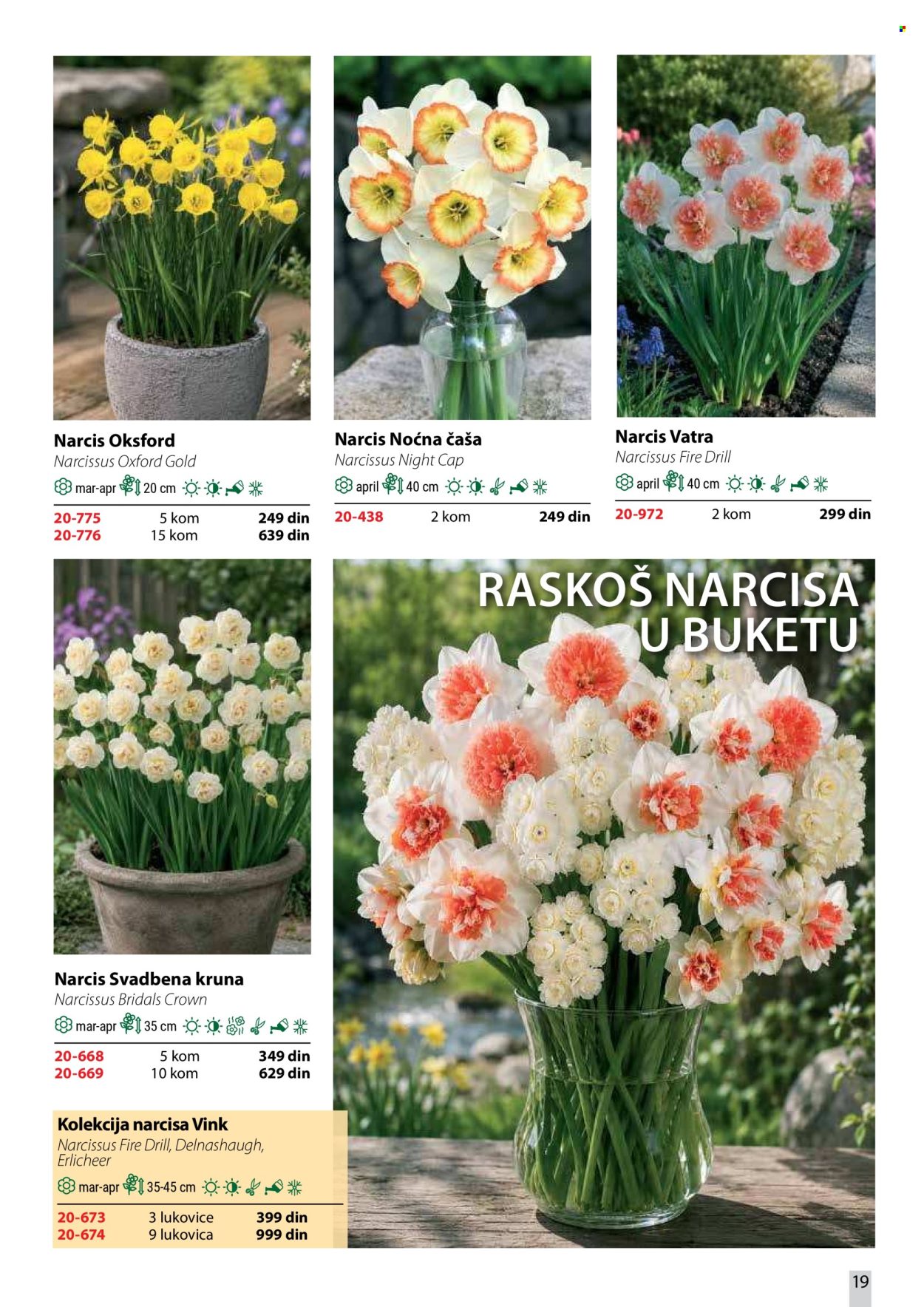 flora-ekspres - Flora Ekspres katalog oktobar 2026 - page: 19