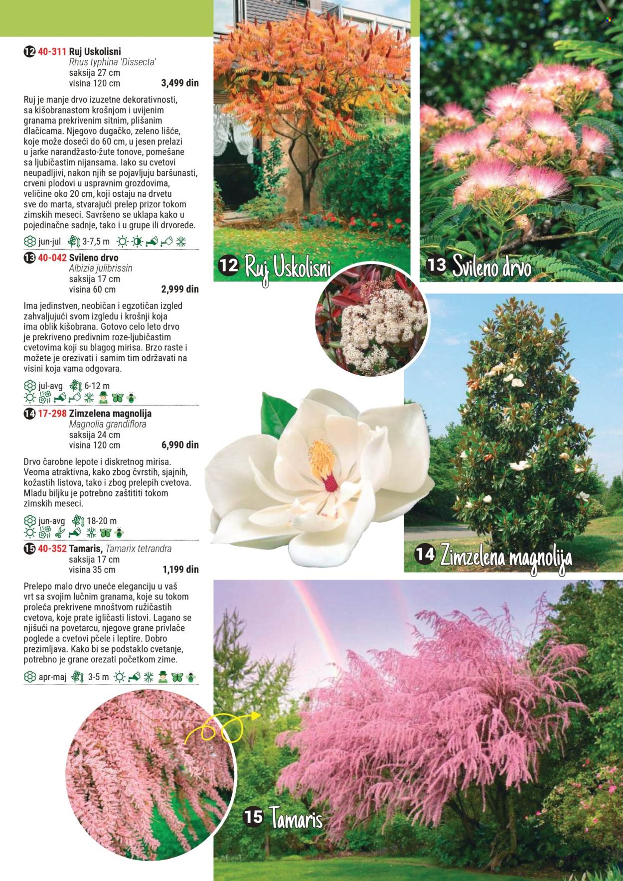 flora-ekspres - Flora Ekspres katalog mart 2025 - page: 19 flora-ekspres - Flora Ekspres katalog mart 2025 - page: 19