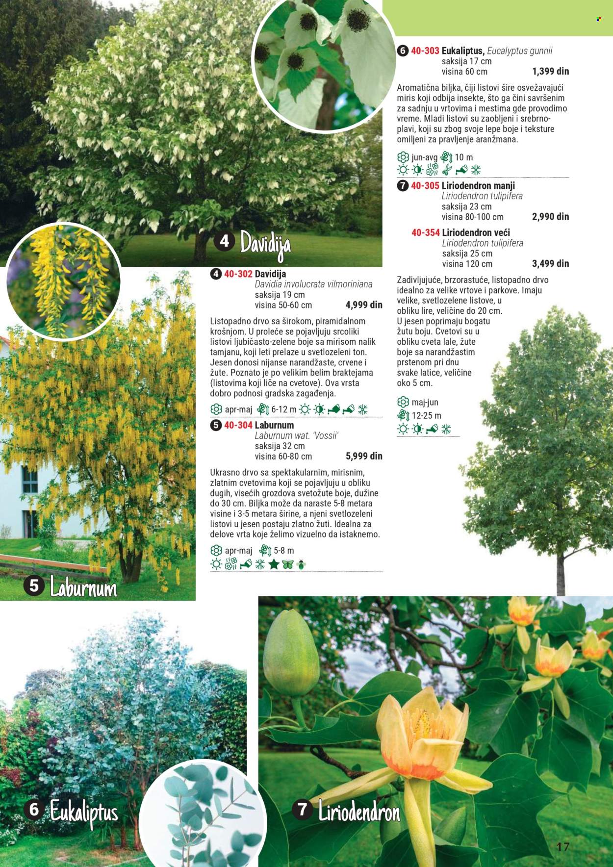 flora-ekspres - Flora Ekspres katalog mart 2025 - page: 17 flora-ekspres - Flora Ekspres katalog mart 2025 - page: 17