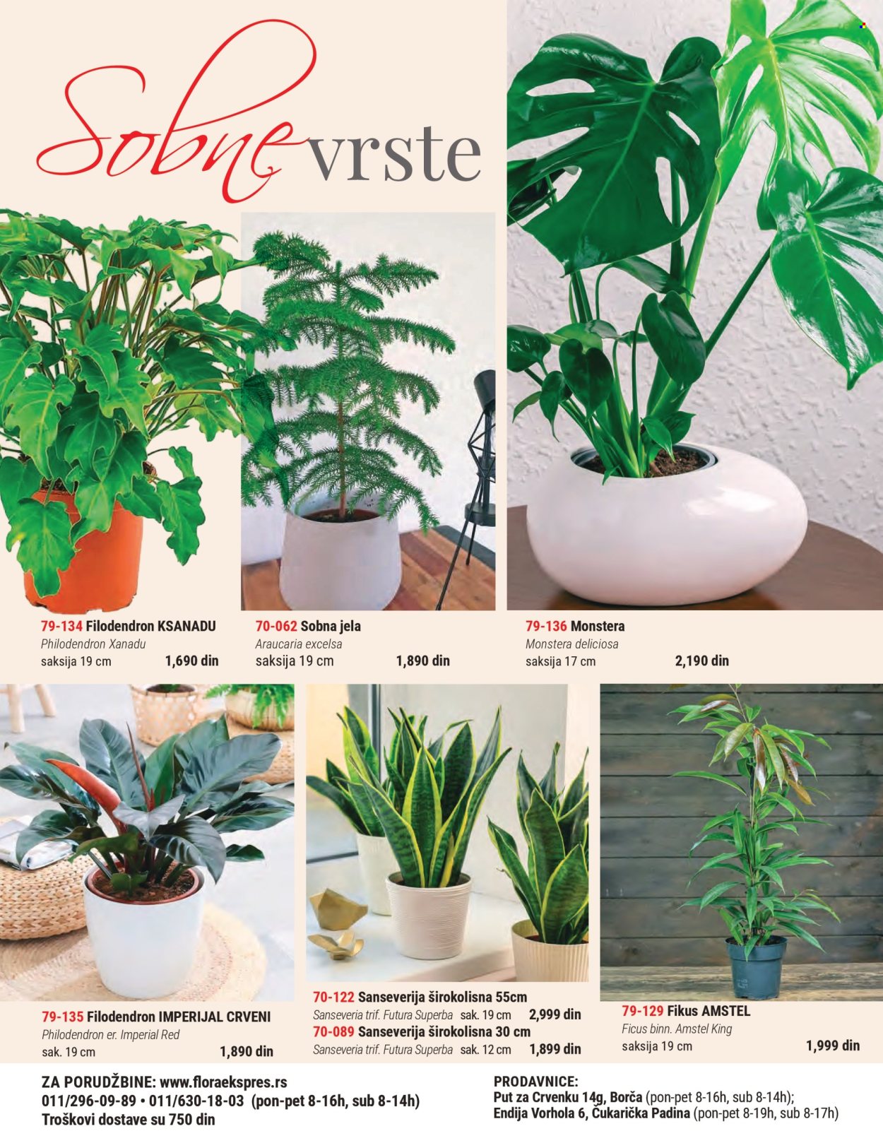 flora-ekspres - Flora Ekspres katalog avgust 2025 - page: 4