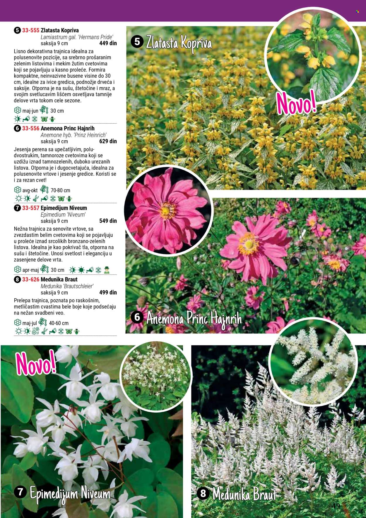 flora-ekspres - Flora Ekspres katalog septembar 2025 - page: 49