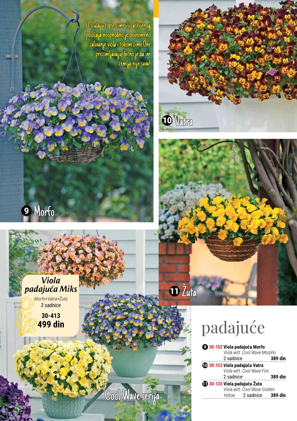 flora-ekspres - Flora Ekspres katalog septembar 2025 - page: 72