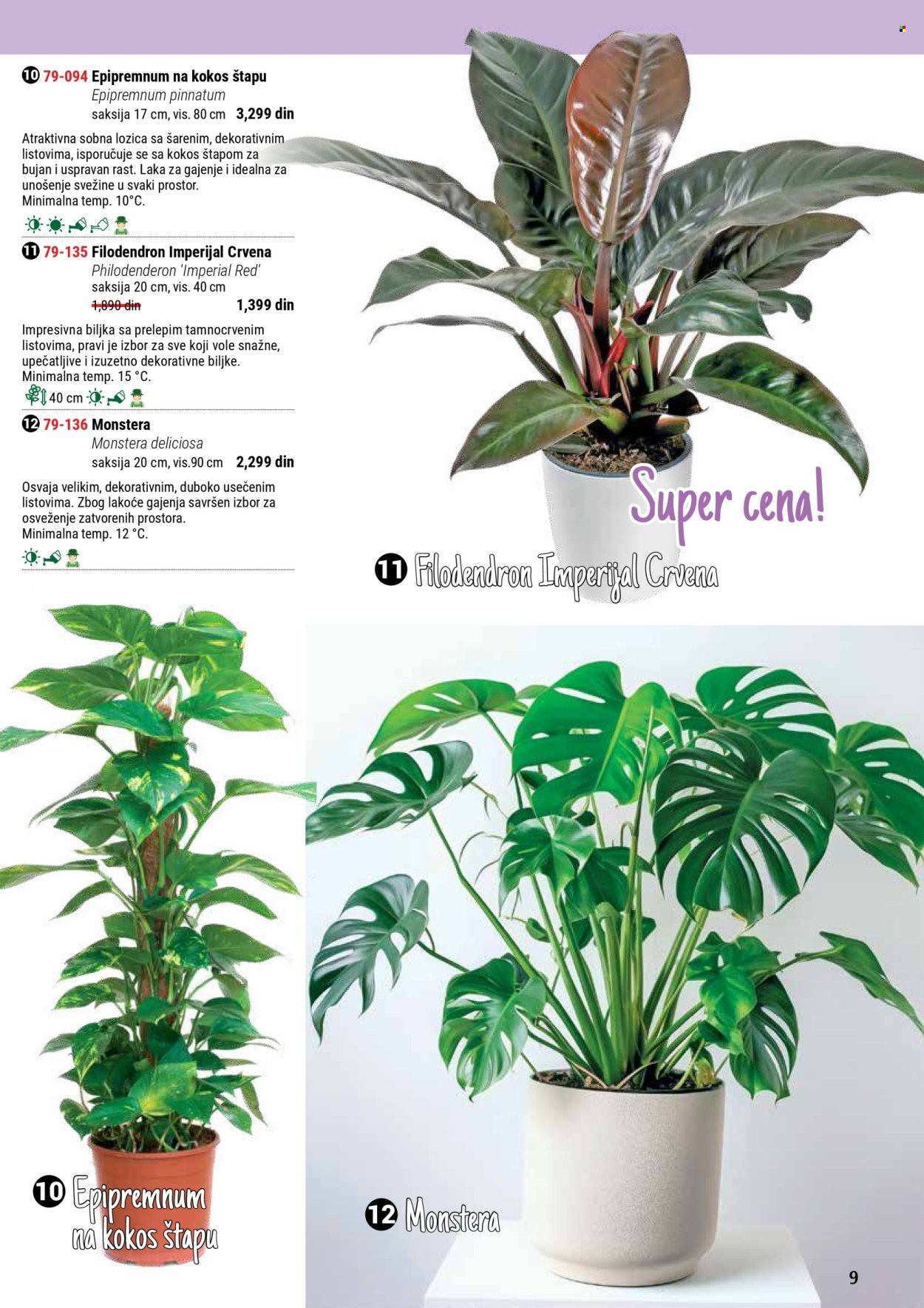 flora-ekspres - Flora Ekspres katalog septembar 2025 - page: 9