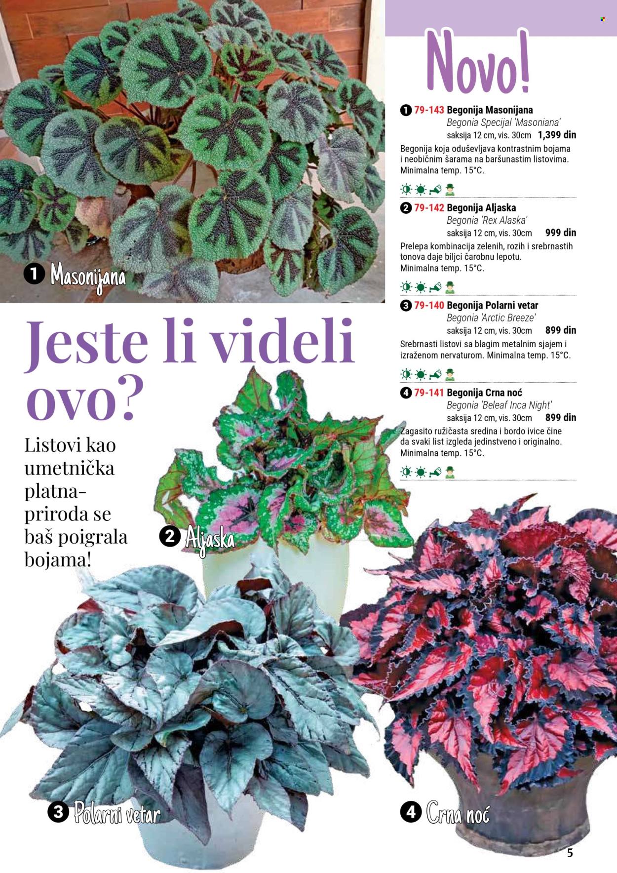 flora-ekspres - Flora Ekspres katalog septembar 2025 - page: 5