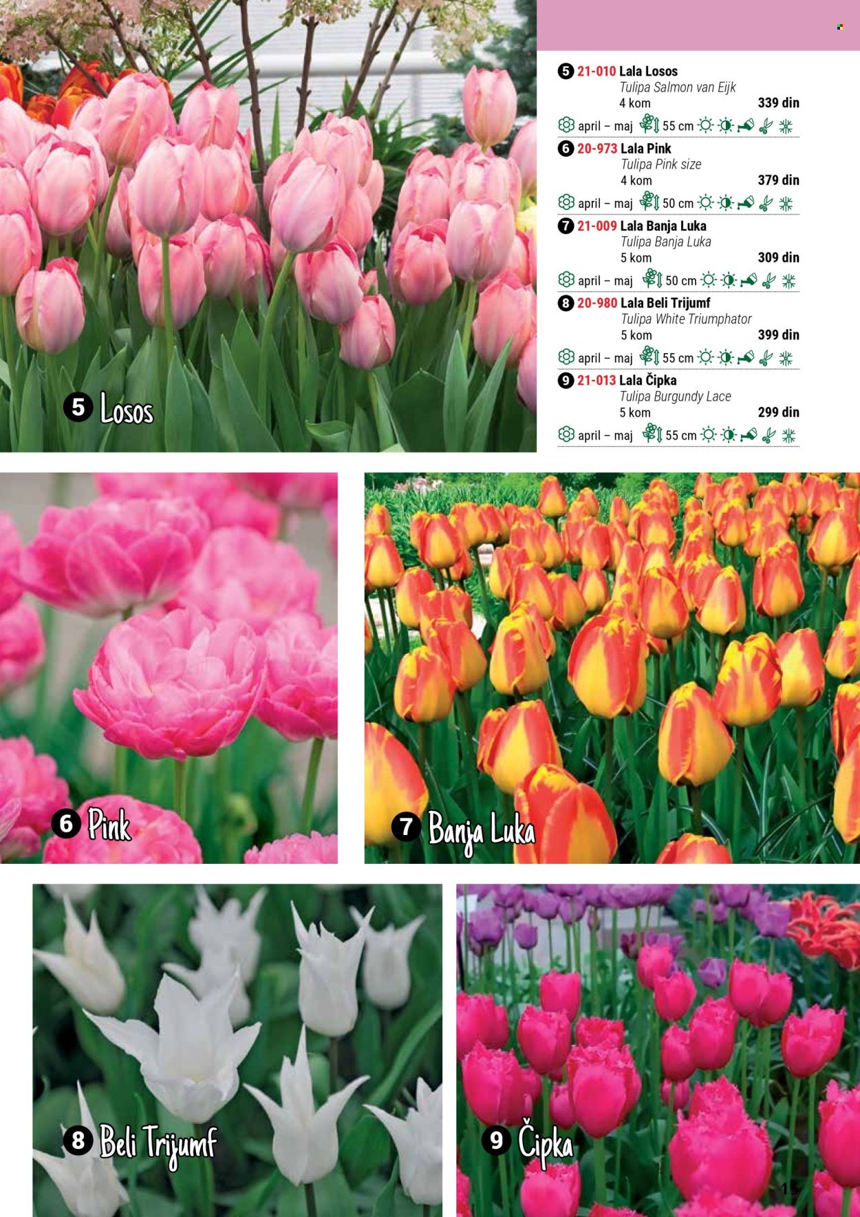 flora-ekspres - Flora Ekspres katalog septembar 2025 - page: 15