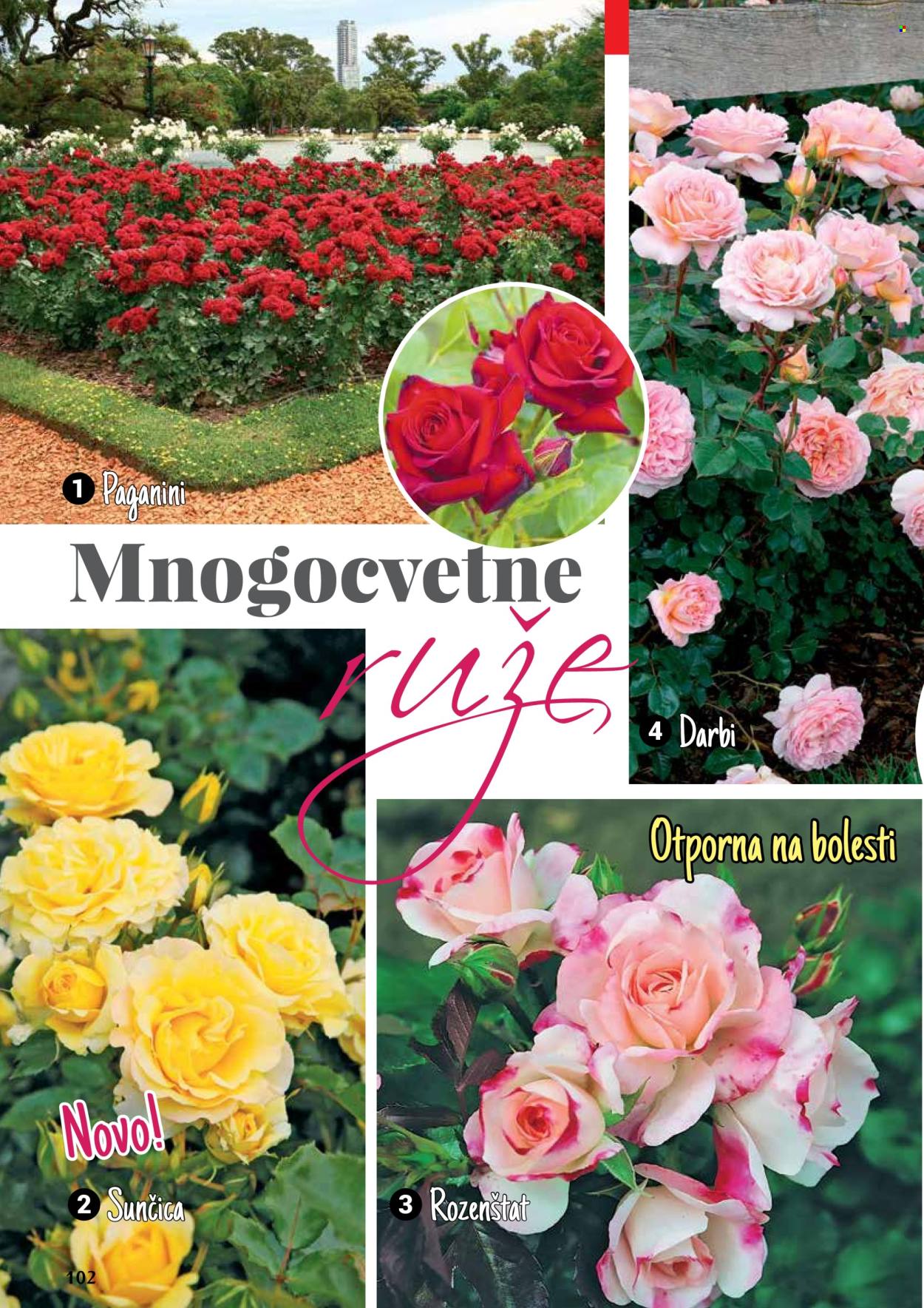 flora-ekspres - Flora Ekspres katalog septembar 2025 - page: 102