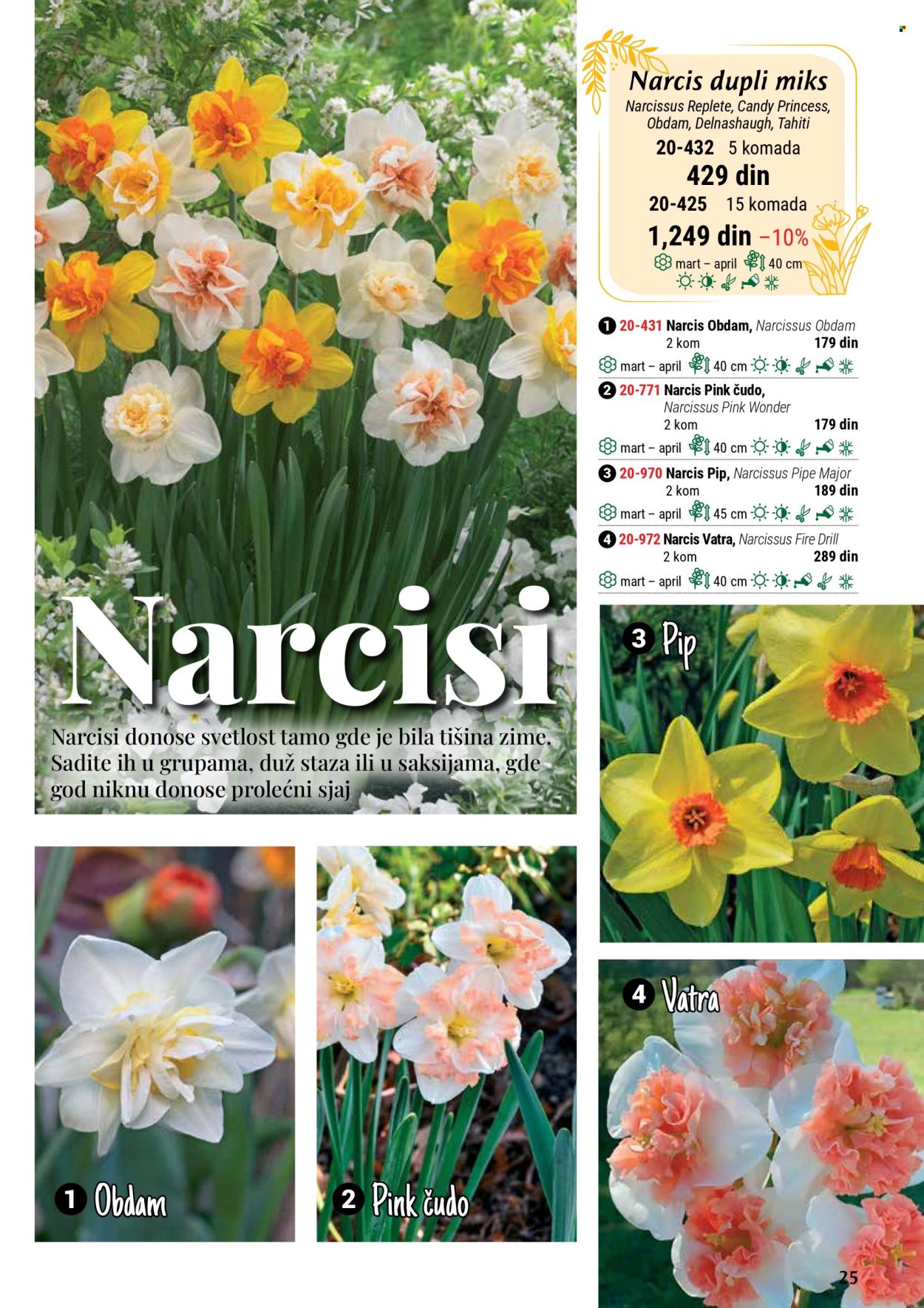 flora-ekspres - Flora Ekspres katalog septembar 2025 - page: 25