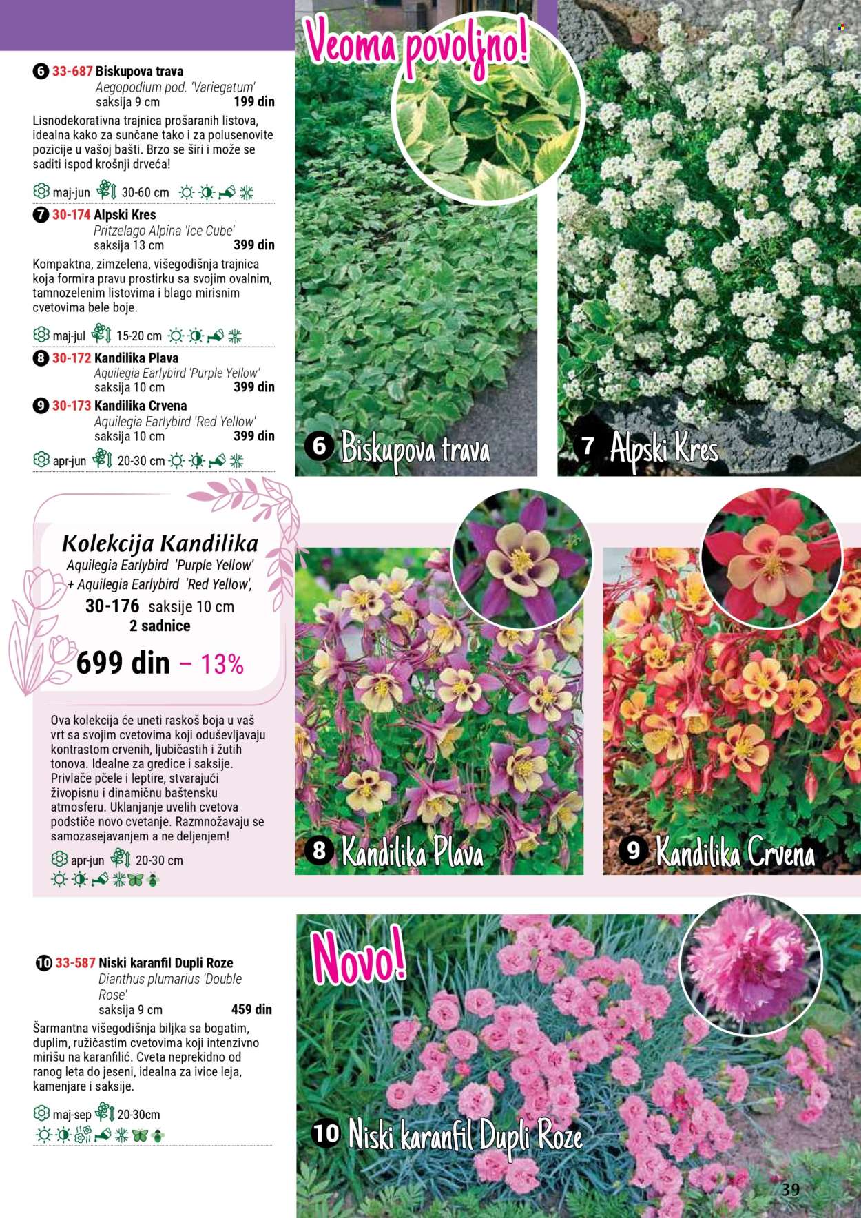 flora-ekspres - Flora Ekspres katalog septembar 2025 - page: 39