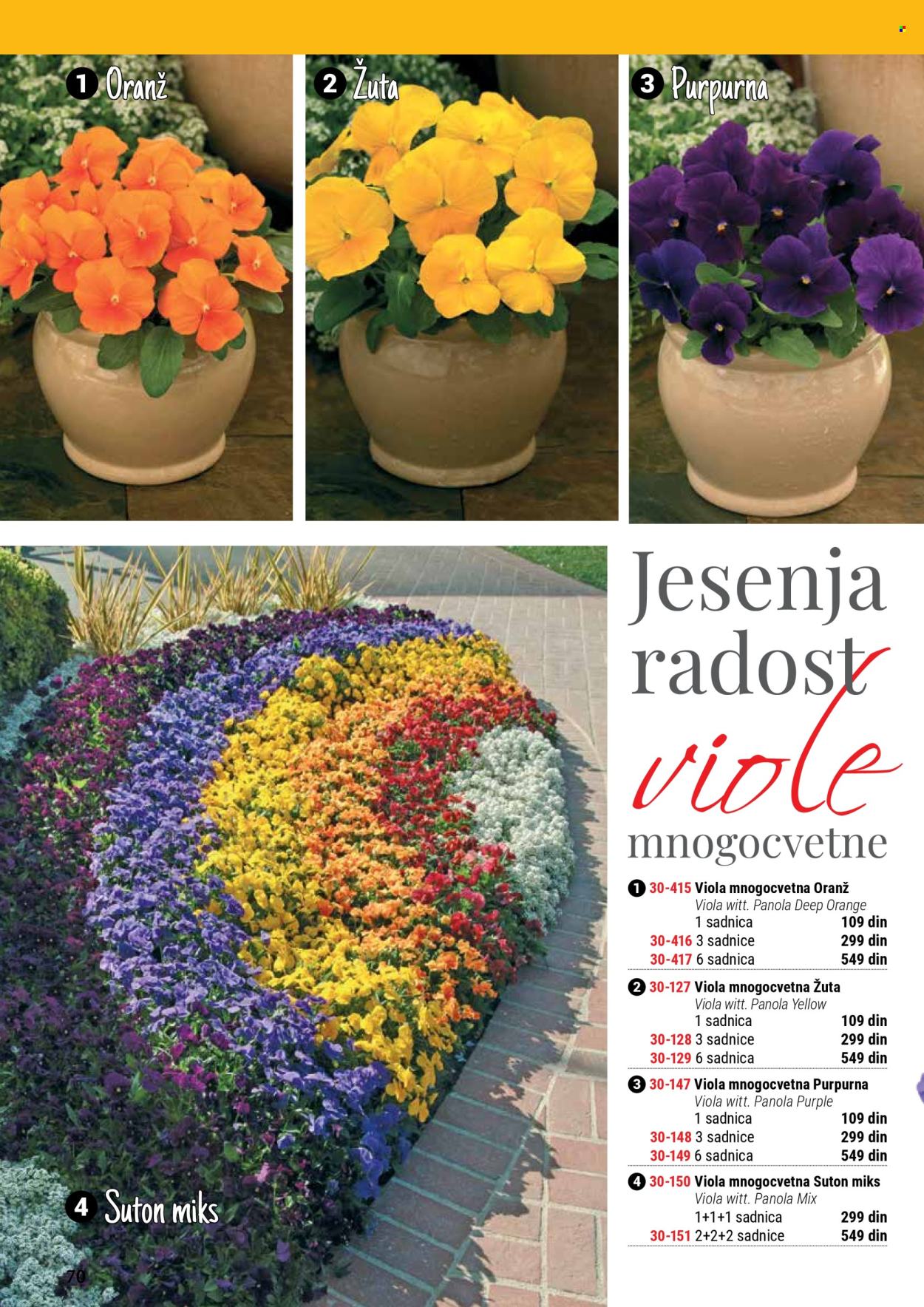 flora-ekspres - Flora Ekspres katalog septembar 2025 - page: 70