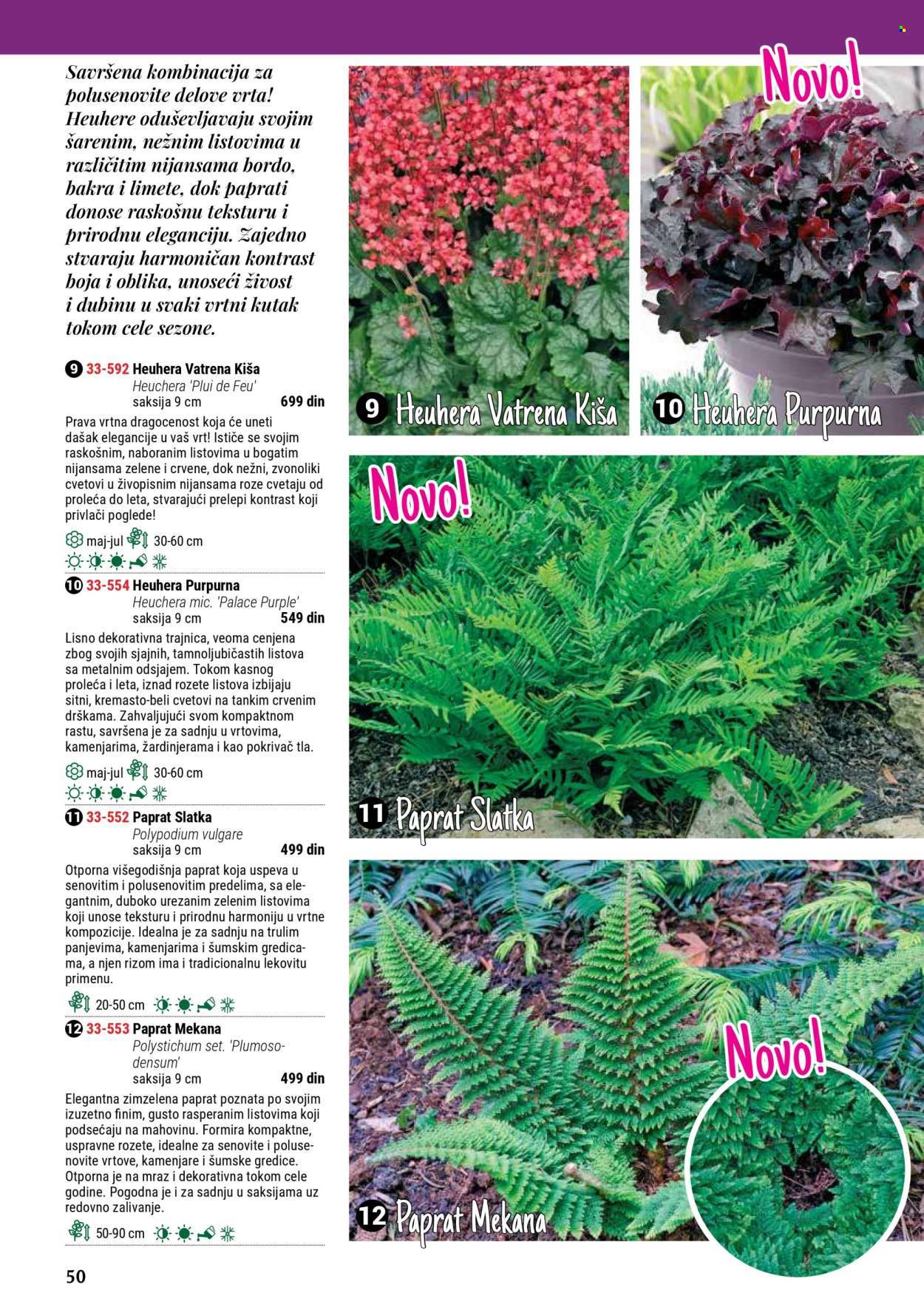 flora-ekspres - Flora Ekspres katalog septembar 2025 - page: 50