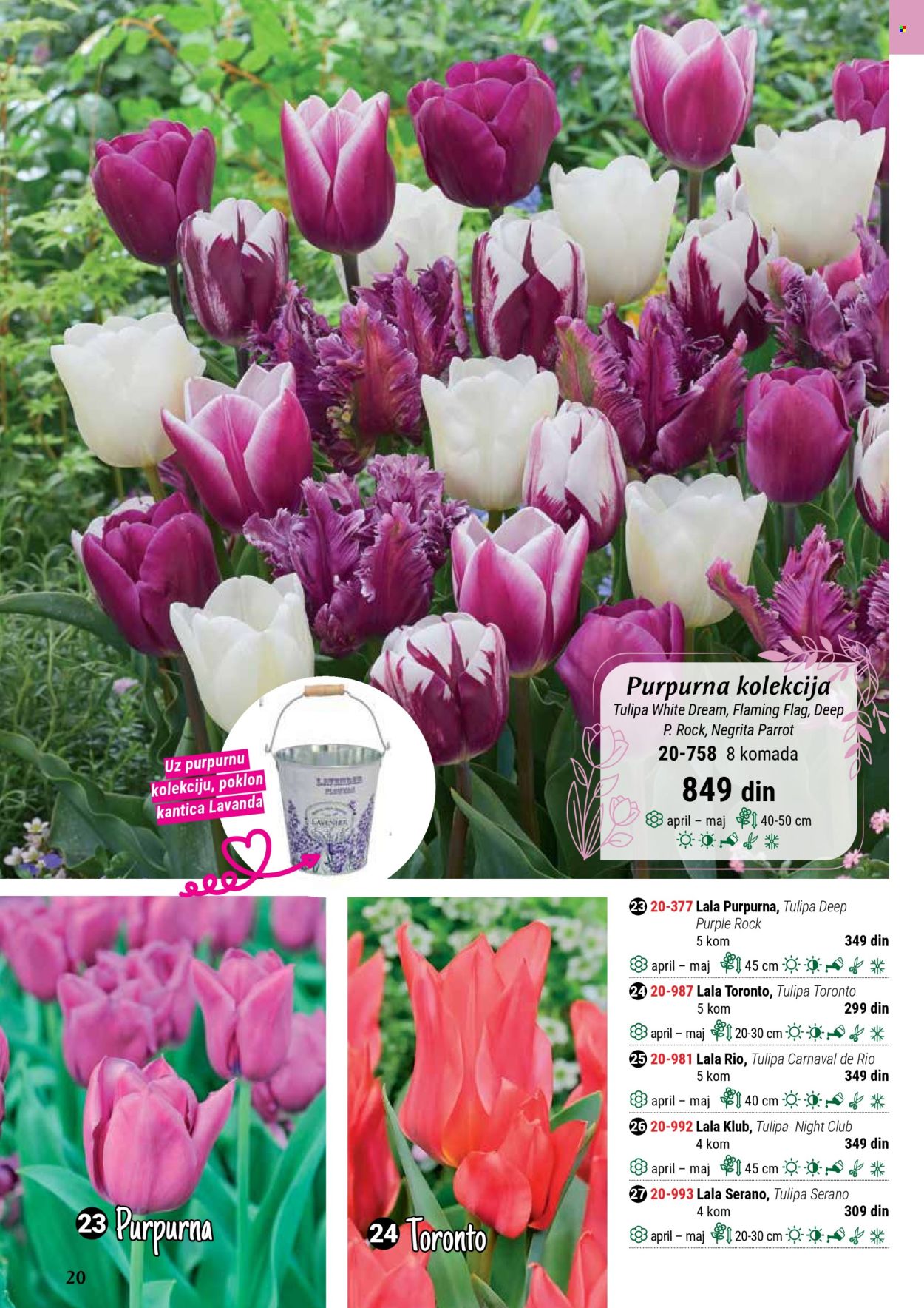 flora-ekspres - Flora Ekspres katalog septembar 2025 - page: 20