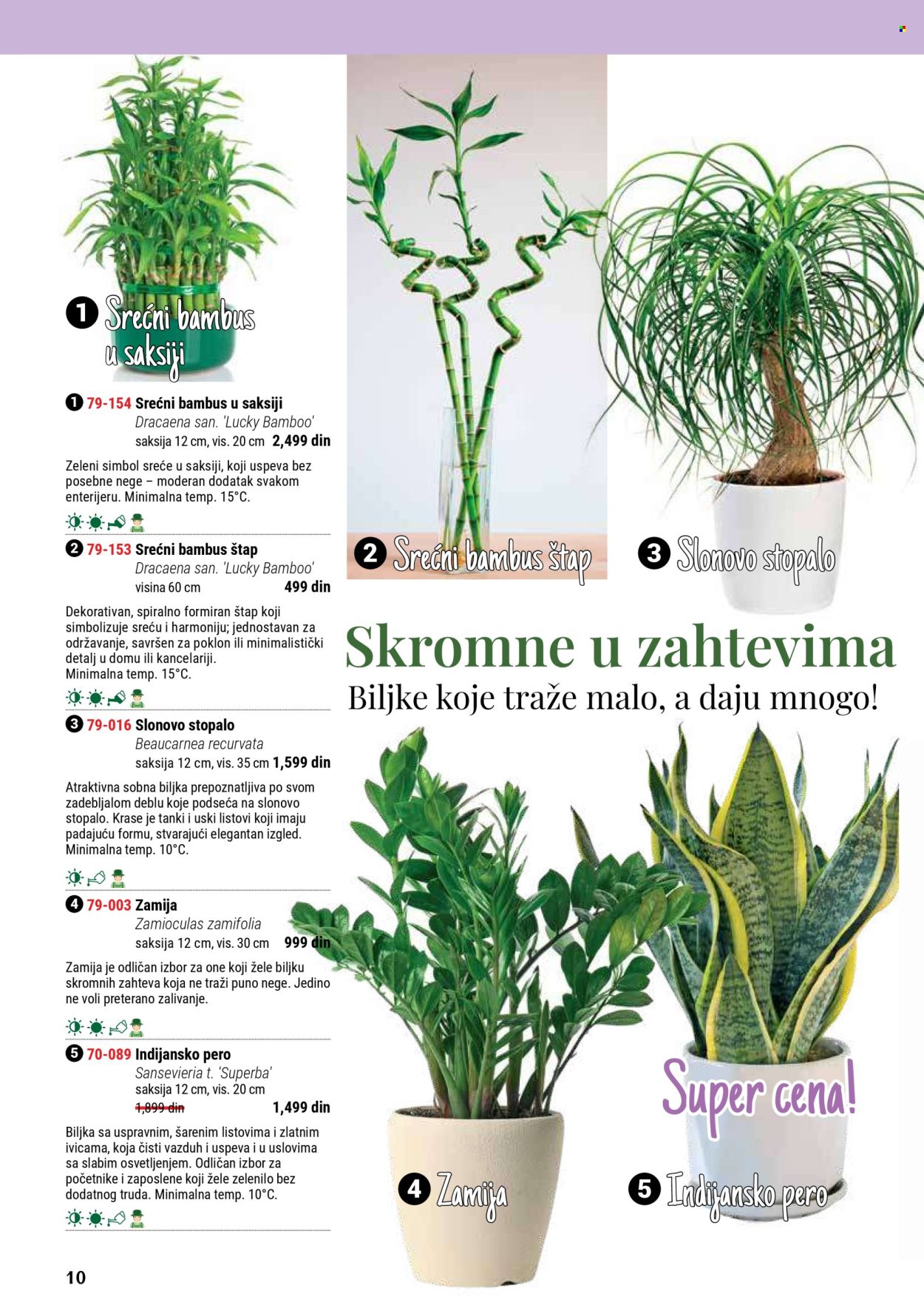 flora-ekspres - Flora Ekspres katalog septembar 2025 - page: 10