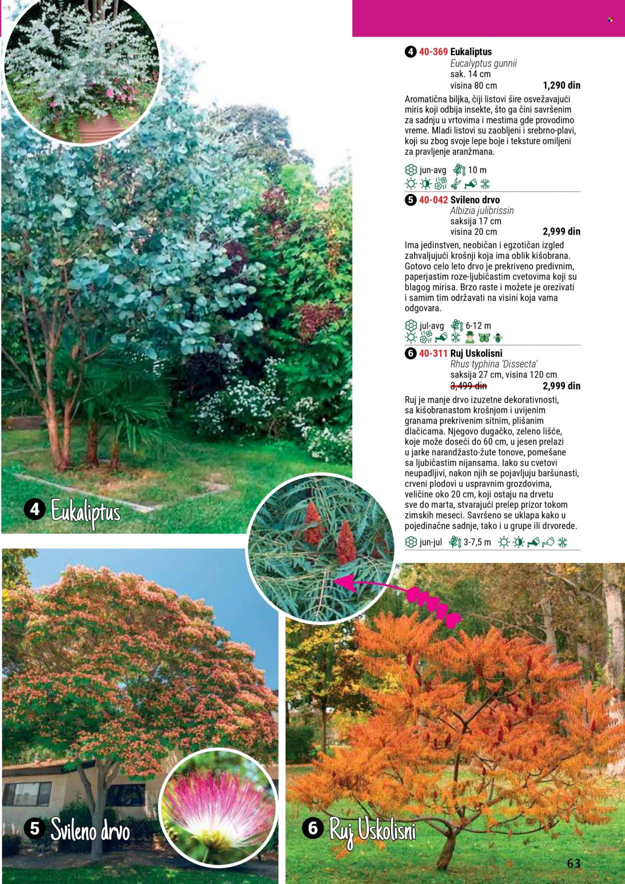 flora-ekspres - Flora Ekspres katalog septembar 2025 - page: 63