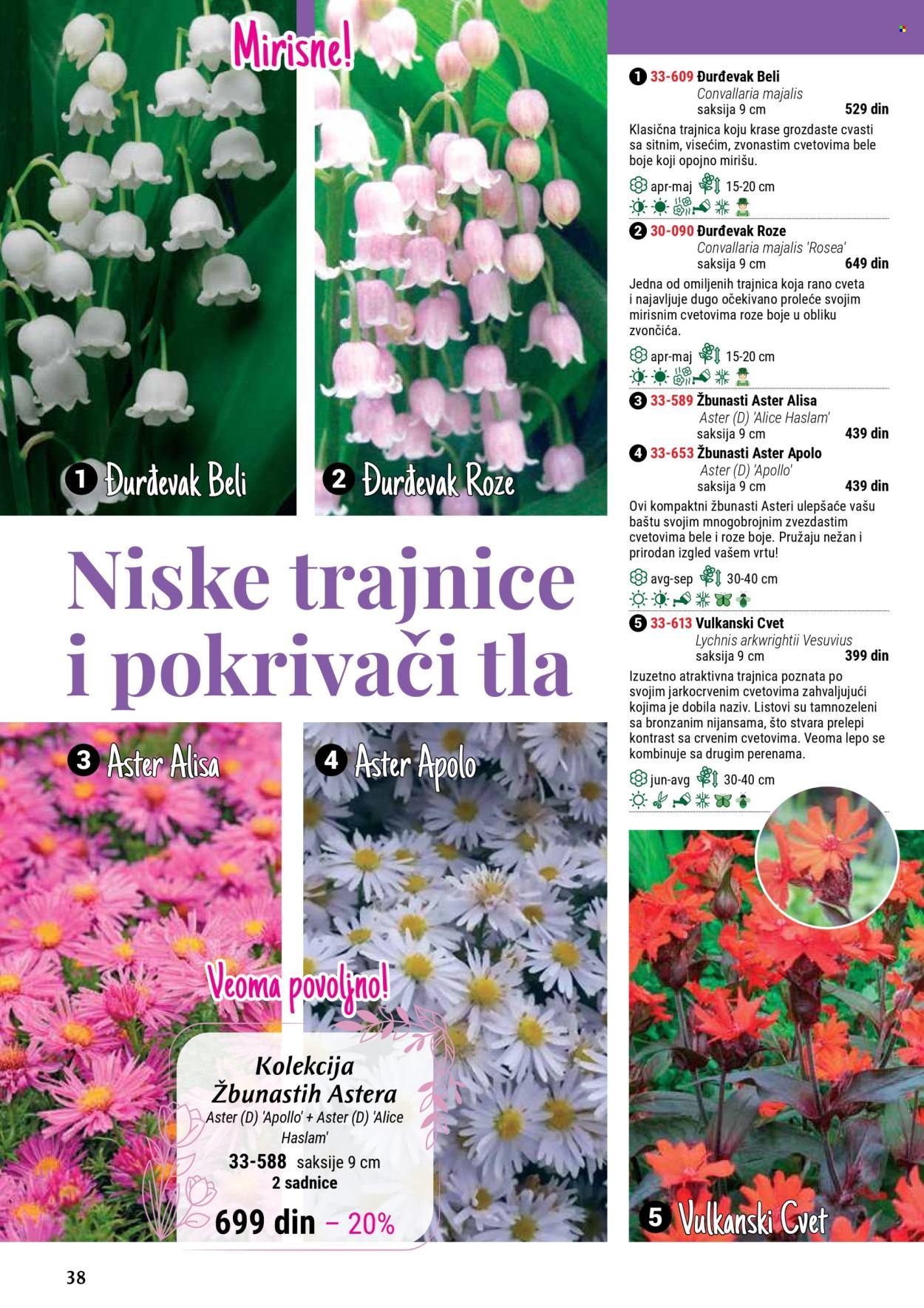 flora-ekspres - Flora Ekspres katalog septembar 2025 - page: 38