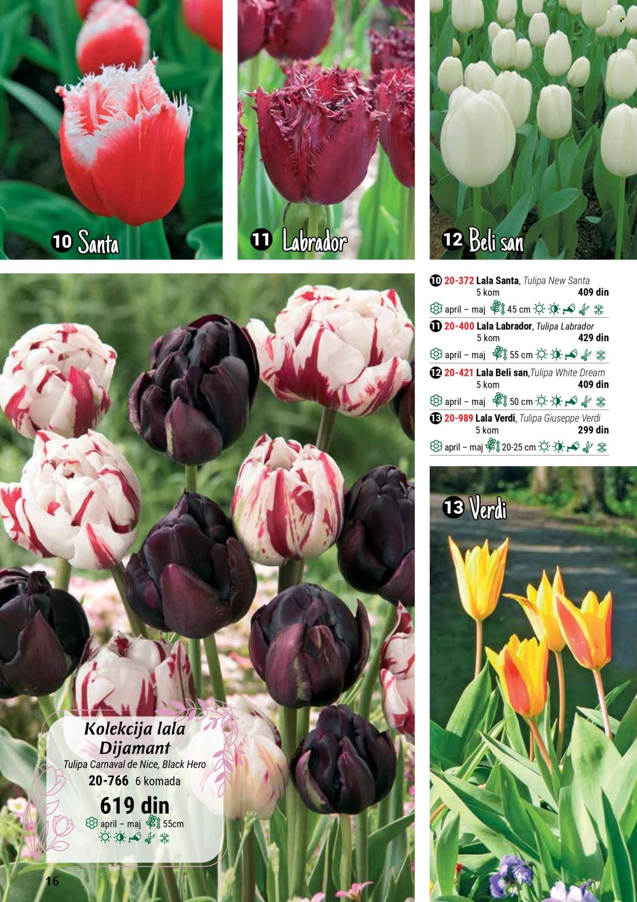 flora-ekspres - Flora Ekspres katalog septembar 2025 - page: 16