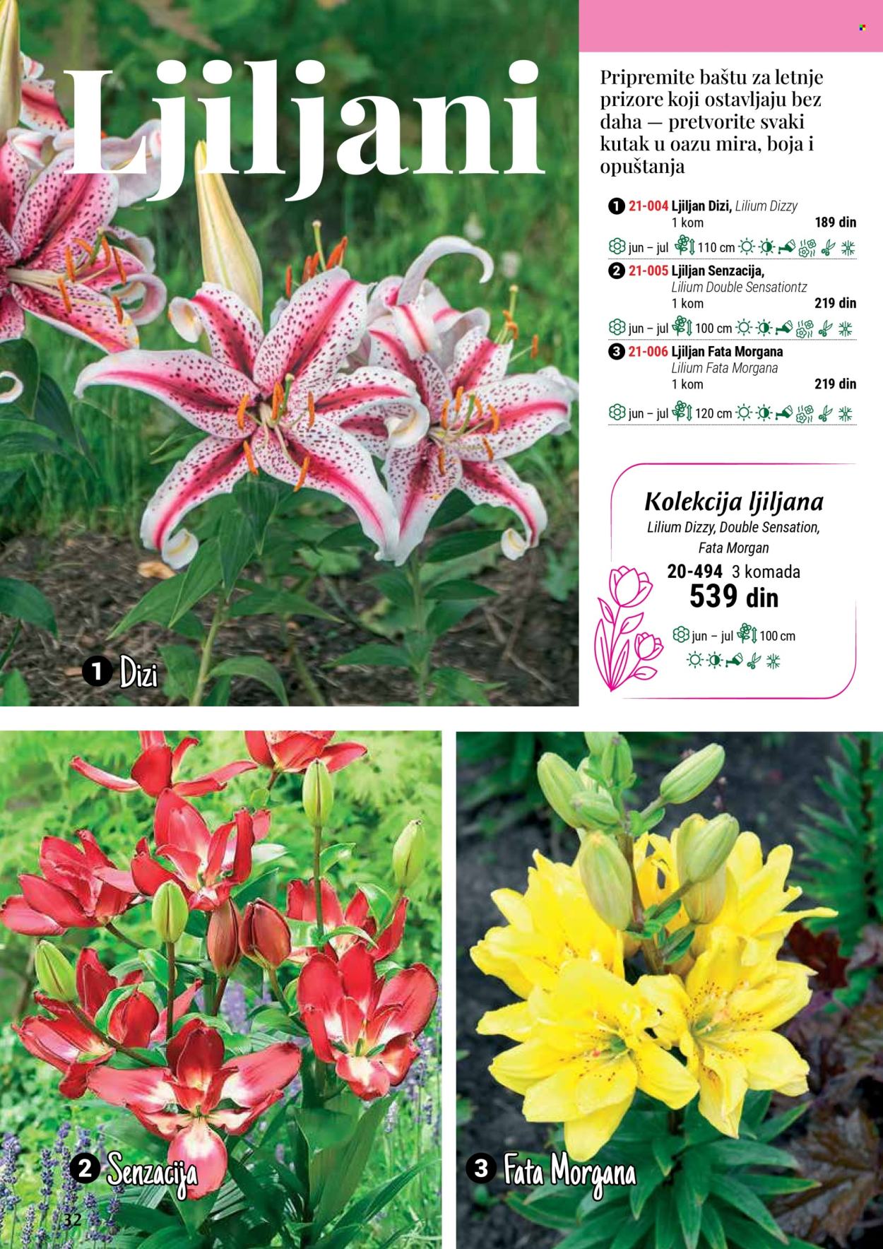 flora-ekspres - Flora Ekspres katalog septembar 2025 - page: 32