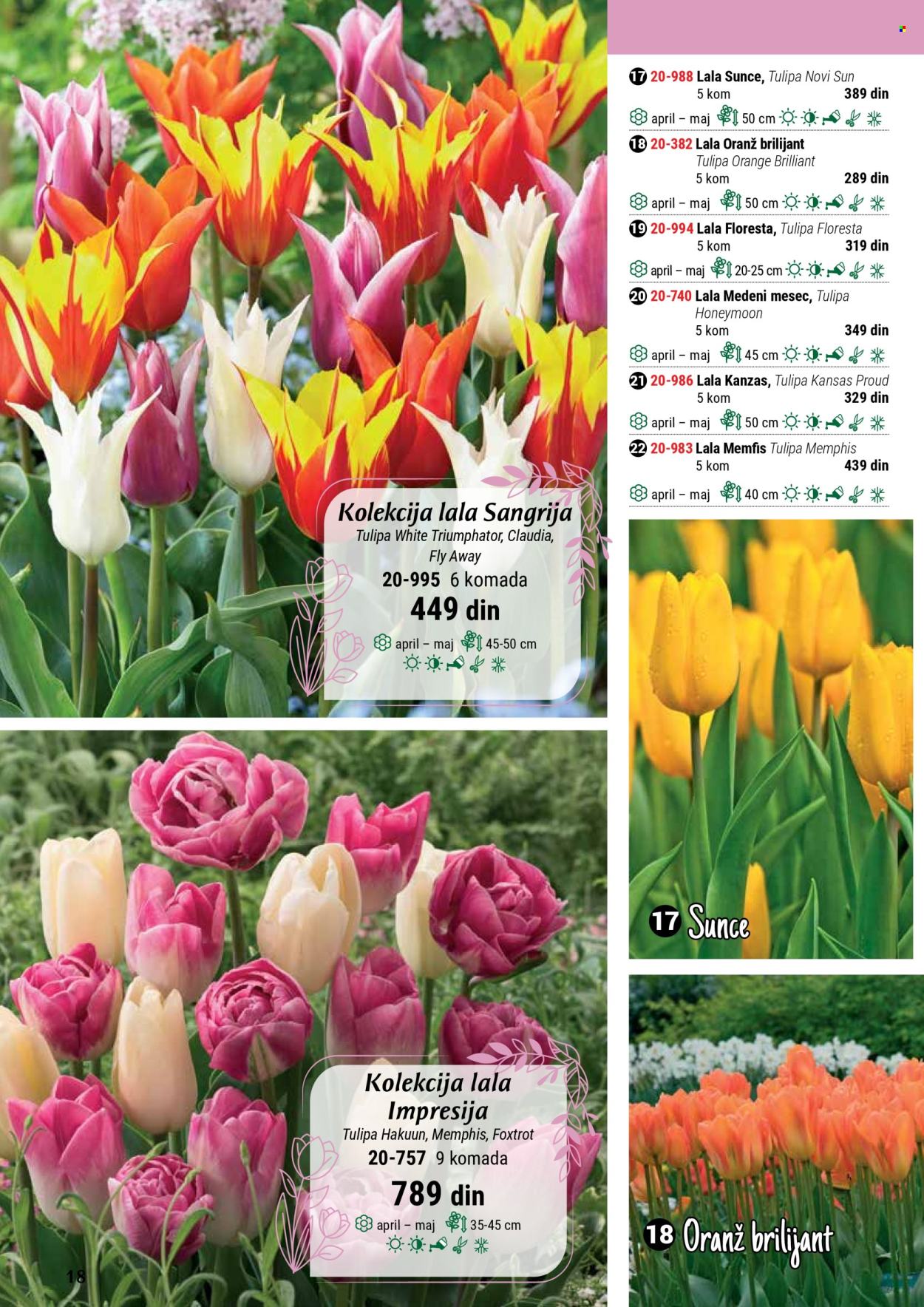 flora-ekspres - Flora Ekspres katalog septembar 2025 - page: 18
