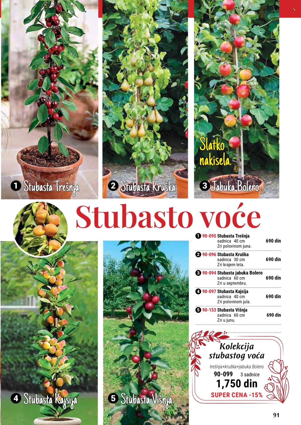 flora-ekspres - Flora Ekspres katalog septembar 2025 - page: 91